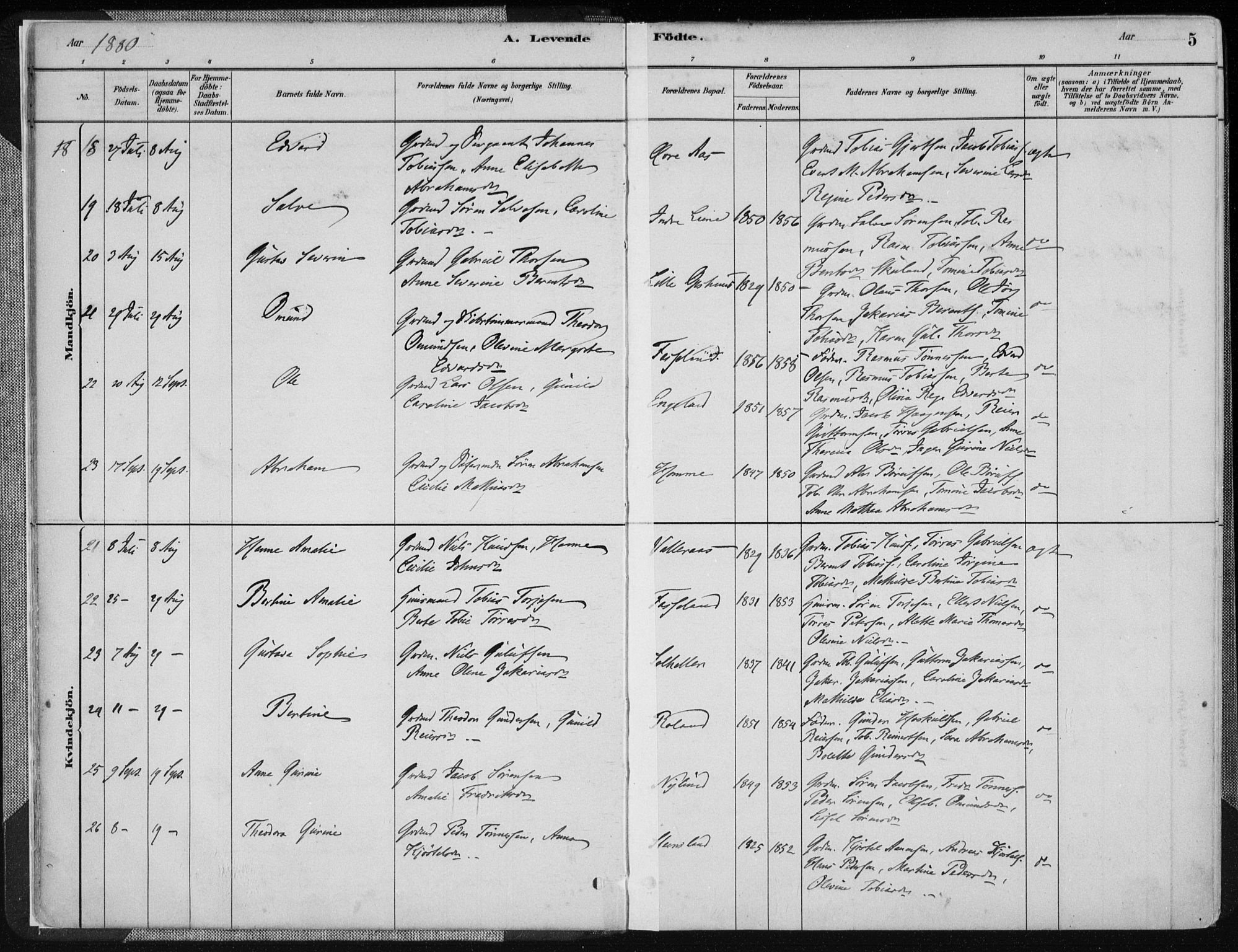 Sør-Audnedal sokneprestkontor, AV/SAK-1111-0039/F/Fa/Fab/L0009: Parish register (official) no. A 9, 1880-1895, p. 5