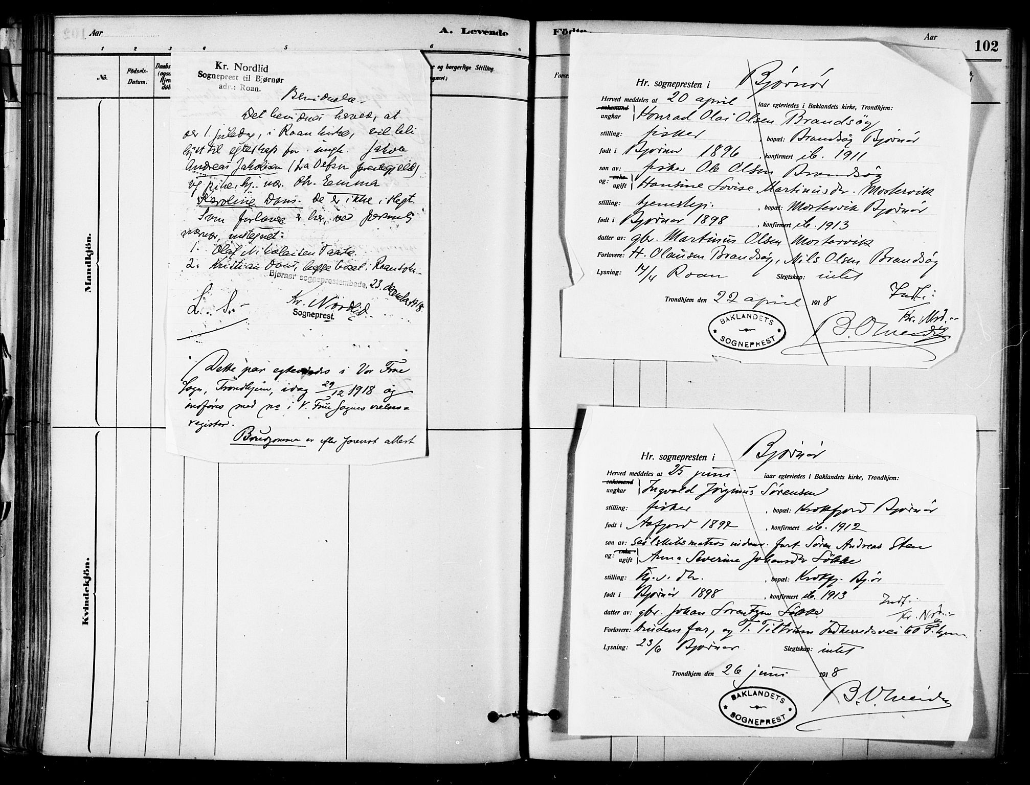 Ministerialprotokoller, klokkerbøker og fødselsregistre - Sør-Trøndelag, SAT/A-1456/657/L0707: Parish register (official) no. 657A08, 1879-1893, p. 102