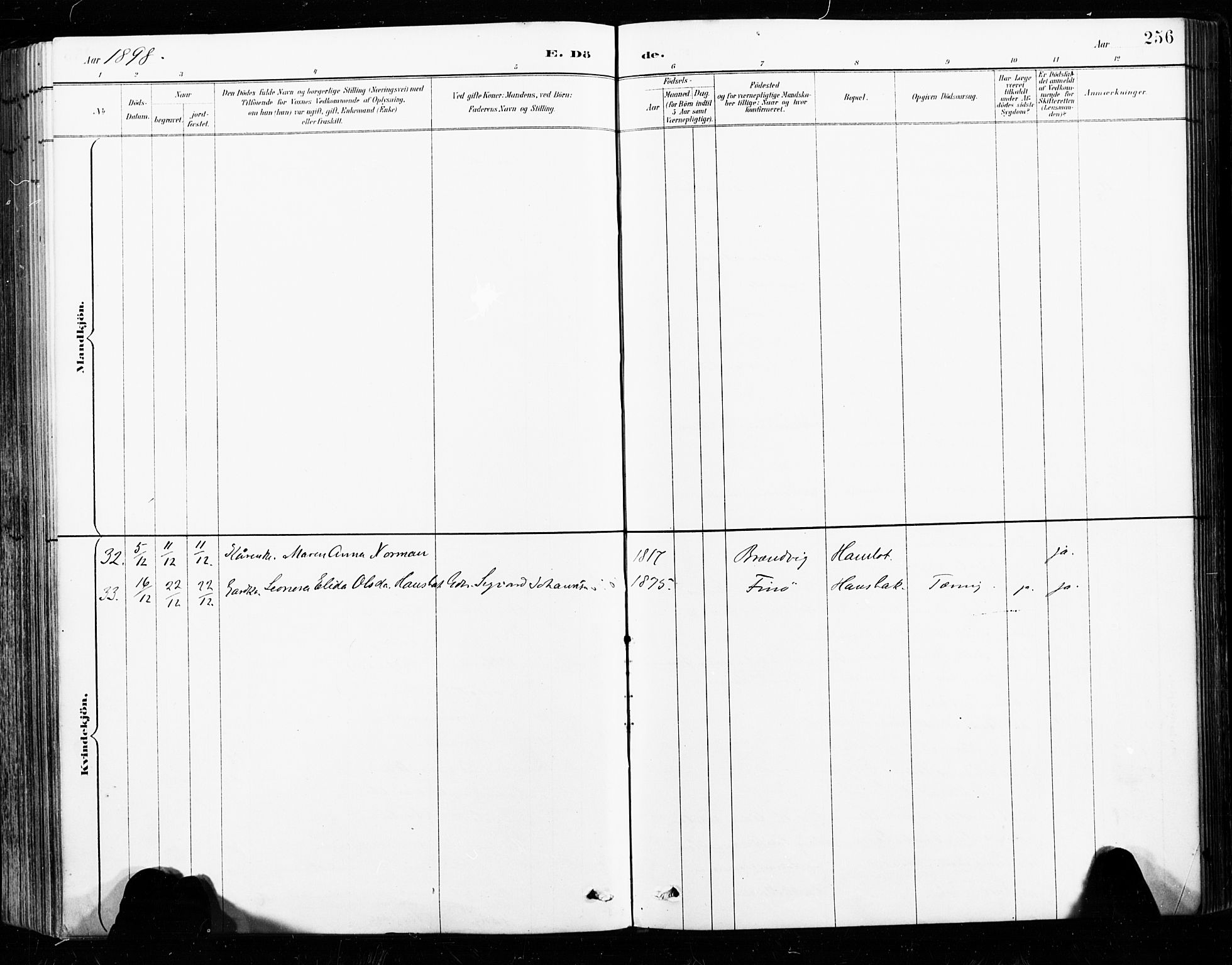 Ministerialprotokoller, klokkerbøker og fødselsregistre - Nordland, AV/SAT-A-1459/859/L0847: Parish register (official) no. 859A07, 1890-1899, p. 256