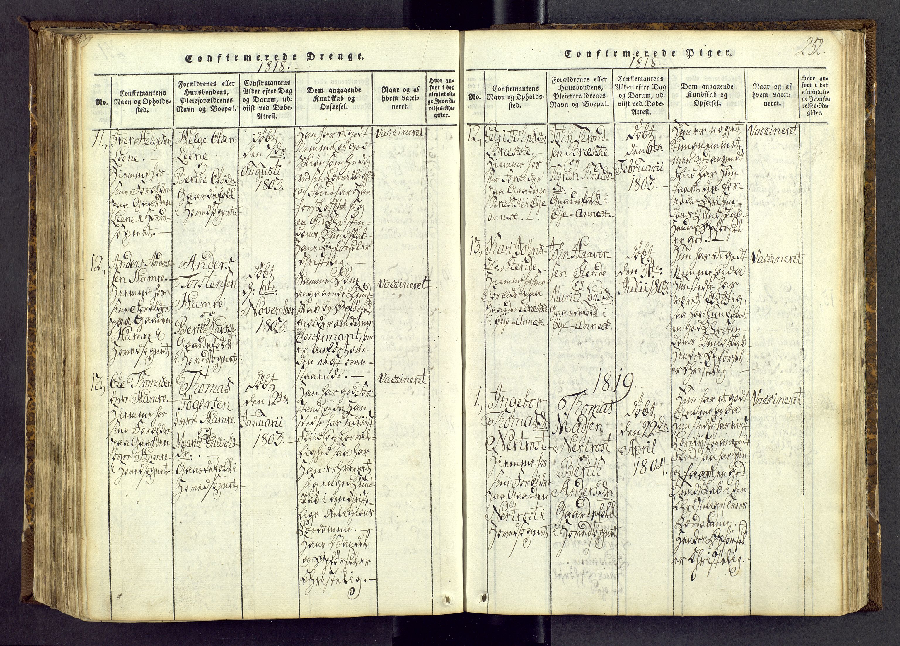 Vang prestekontor, Valdres, SAH/PREST-140/H/Ha/L0004: Parish register (official) no. 4, 1814-1831, p. 252