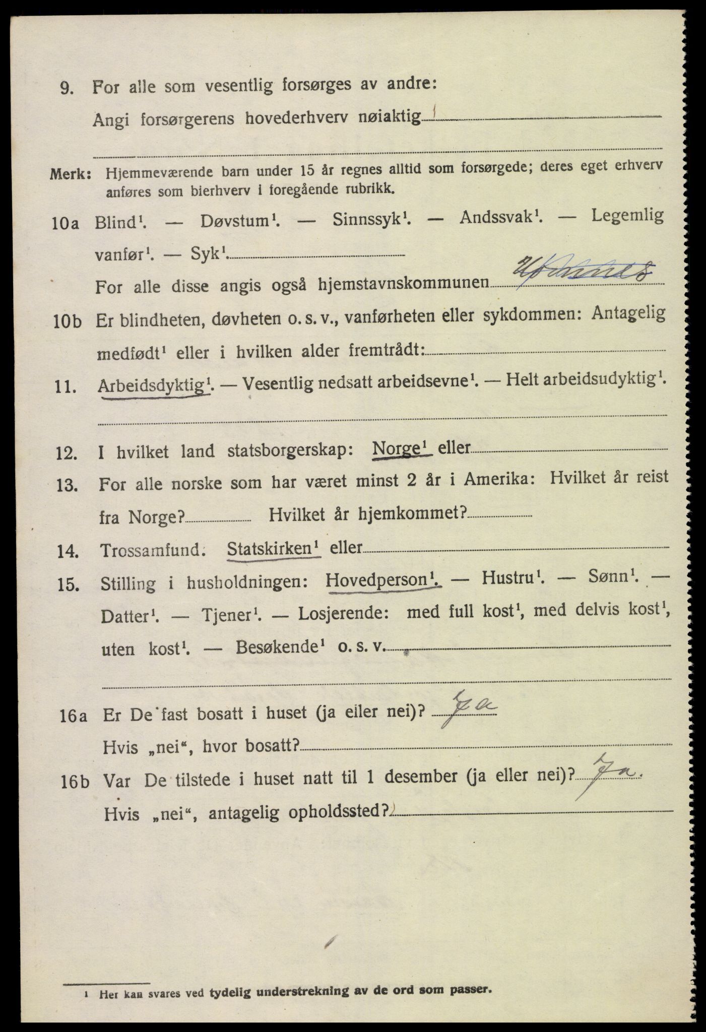 SAK, 1920 census for Hornnes, 1920, p. 1530