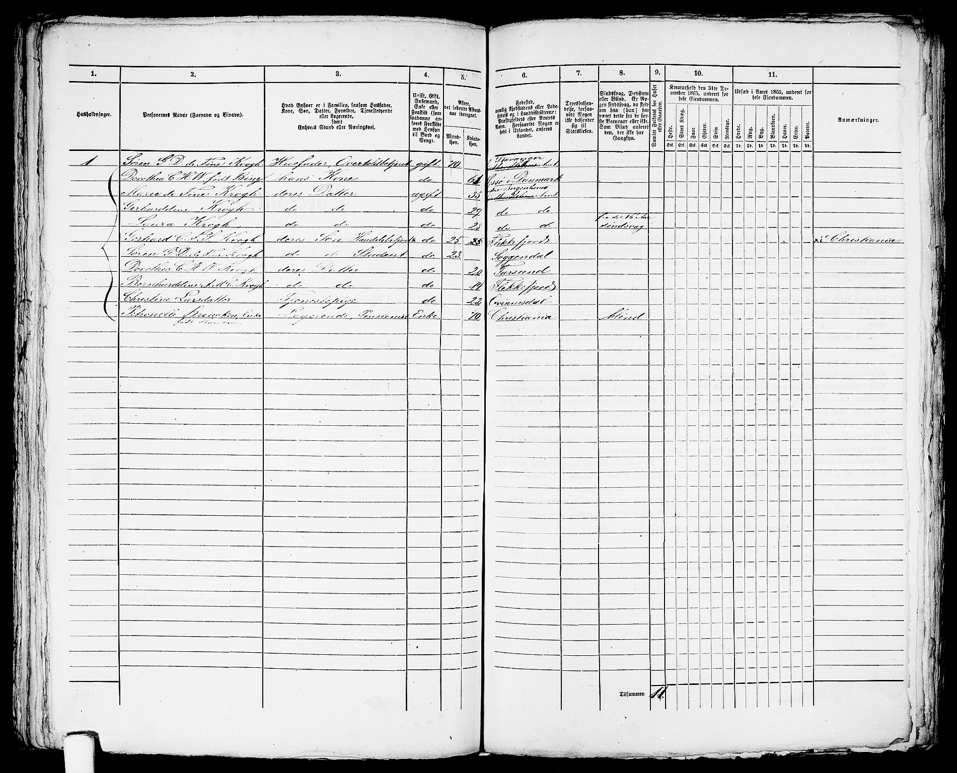 RA, 1865 census for Flekkefjord/Flekkefjord, 1865, p. 231