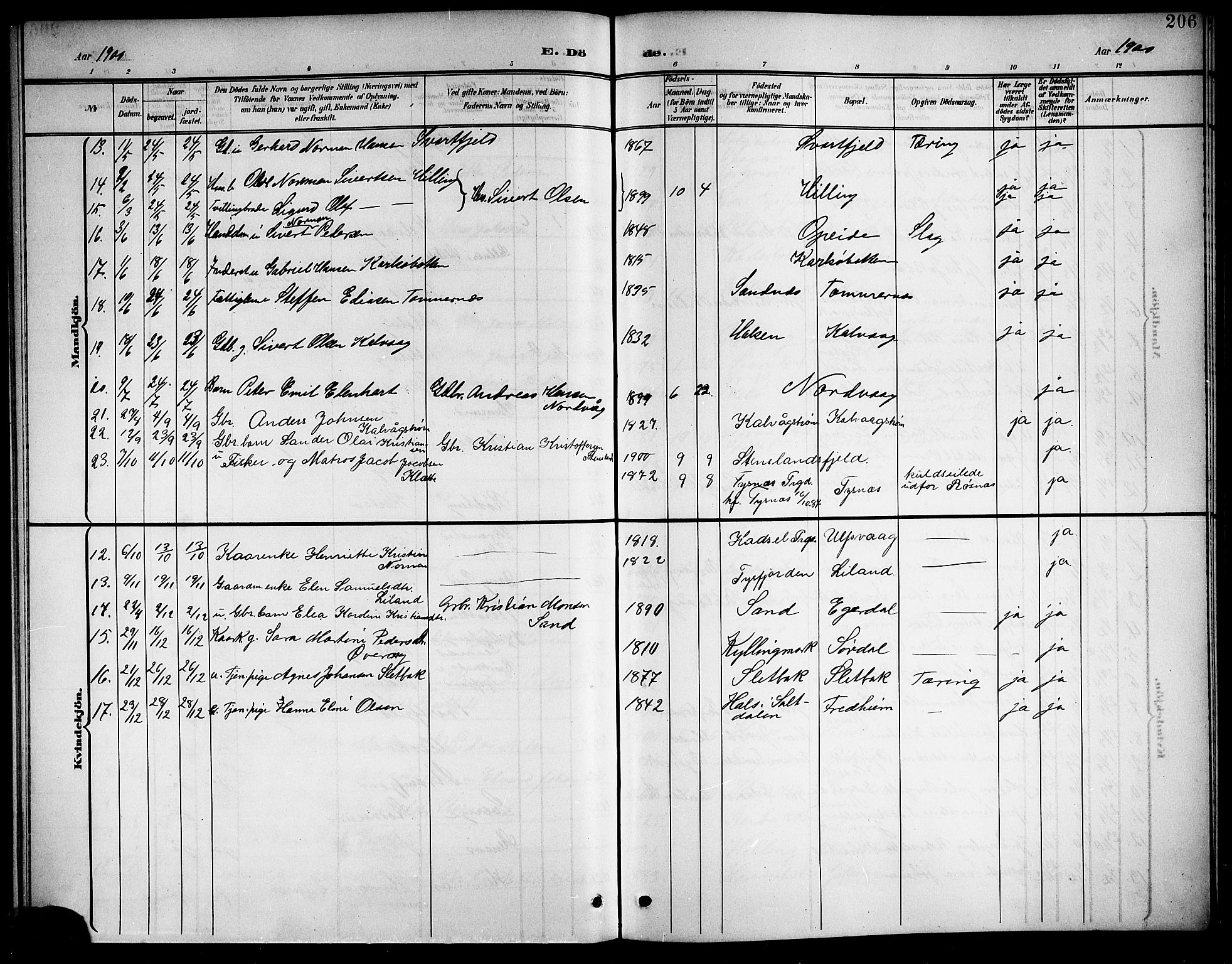 Ministerialprotokoller, klokkerbøker og fødselsregistre - Nordland, AV/SAT-A-1459/859/L0860: Parish register (copy) no. 859C06, 1899-1909, p. 206