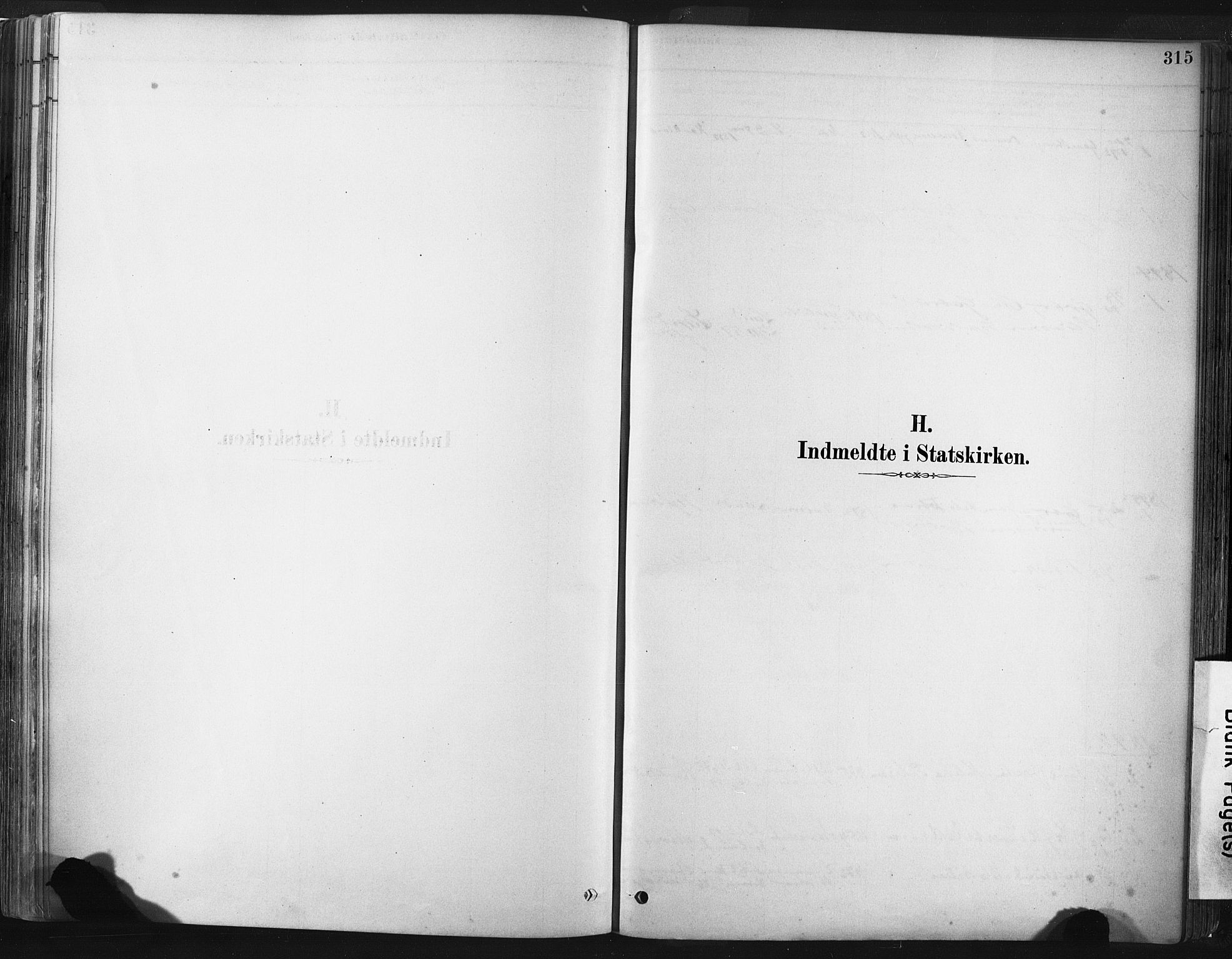 Lund sokneprestkontor, SAST/A-101809/S06/L0011: Parish register (official) no. A 10, 1877-1904, p. 315
