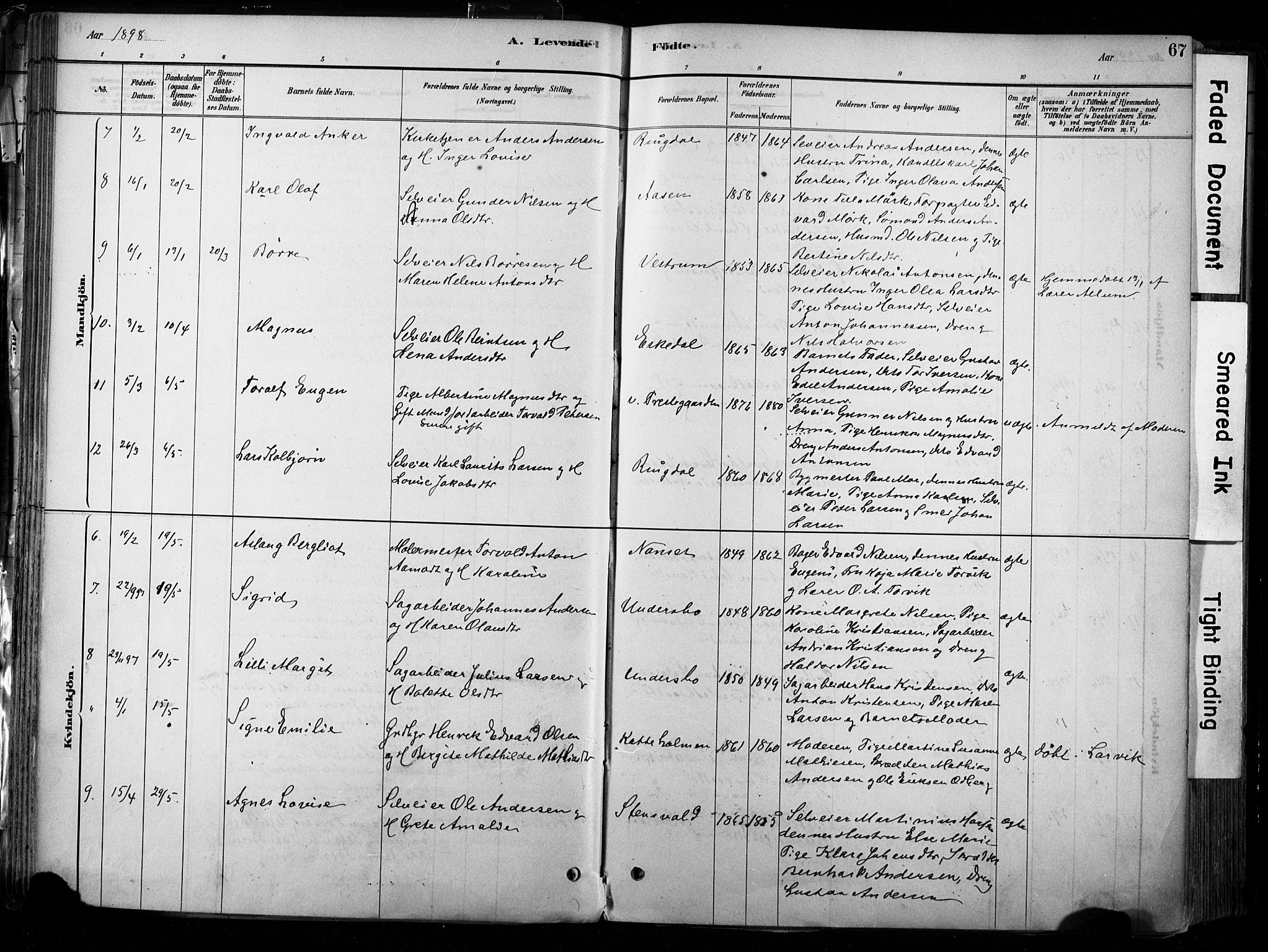 Hedrum kirkebøker, AV/SAKO-A-344/F/Fa/L0009: Parish register (official) no. I 9, 1881-1903, p. 67