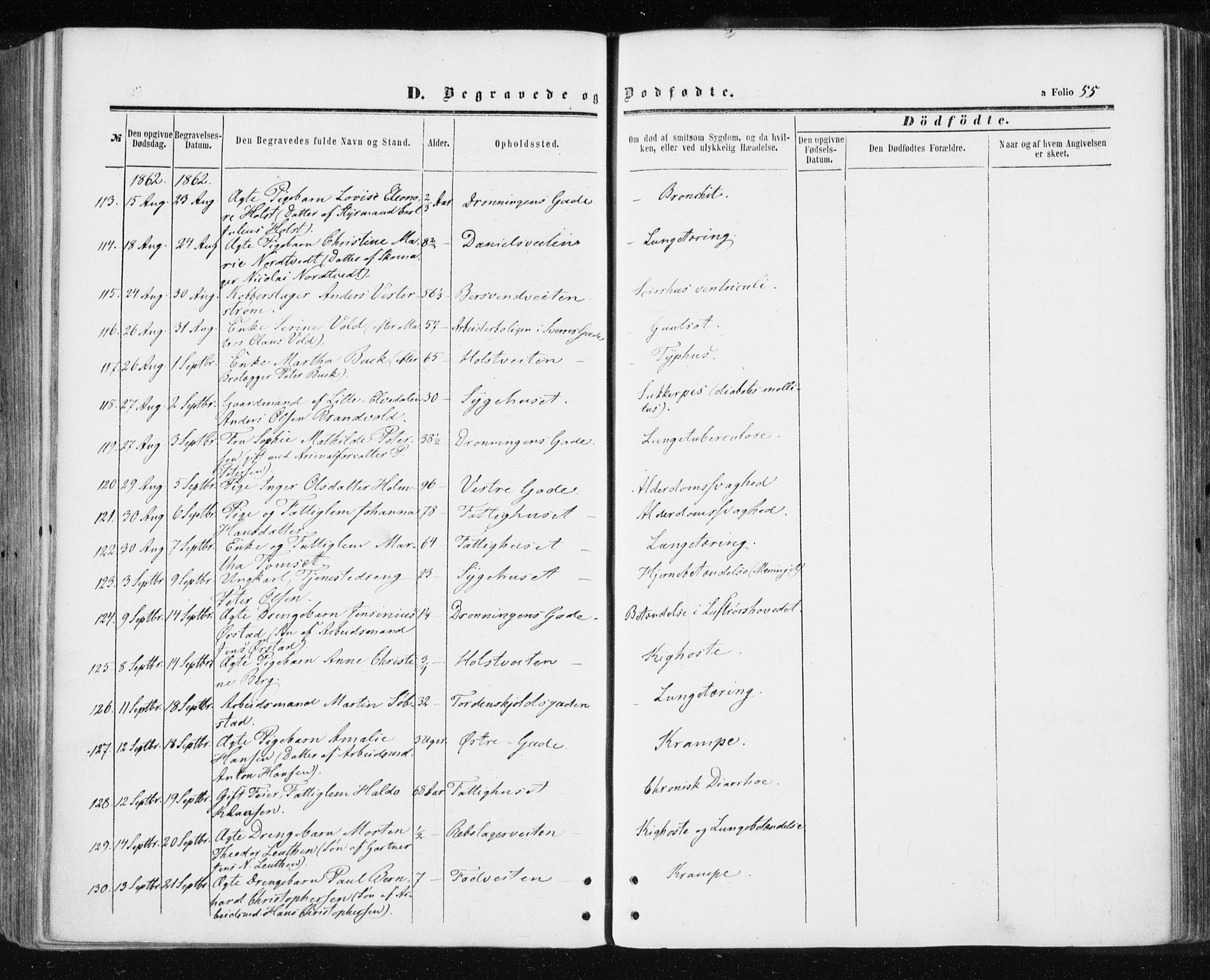 Ministerialprotokoller, klokkerbøker og fødselsregistre - Sør-Trøndelag, AV/SAT-A-1456/601/L0053: Parish register (official) no. 601A21, 1857-1865, p. 55