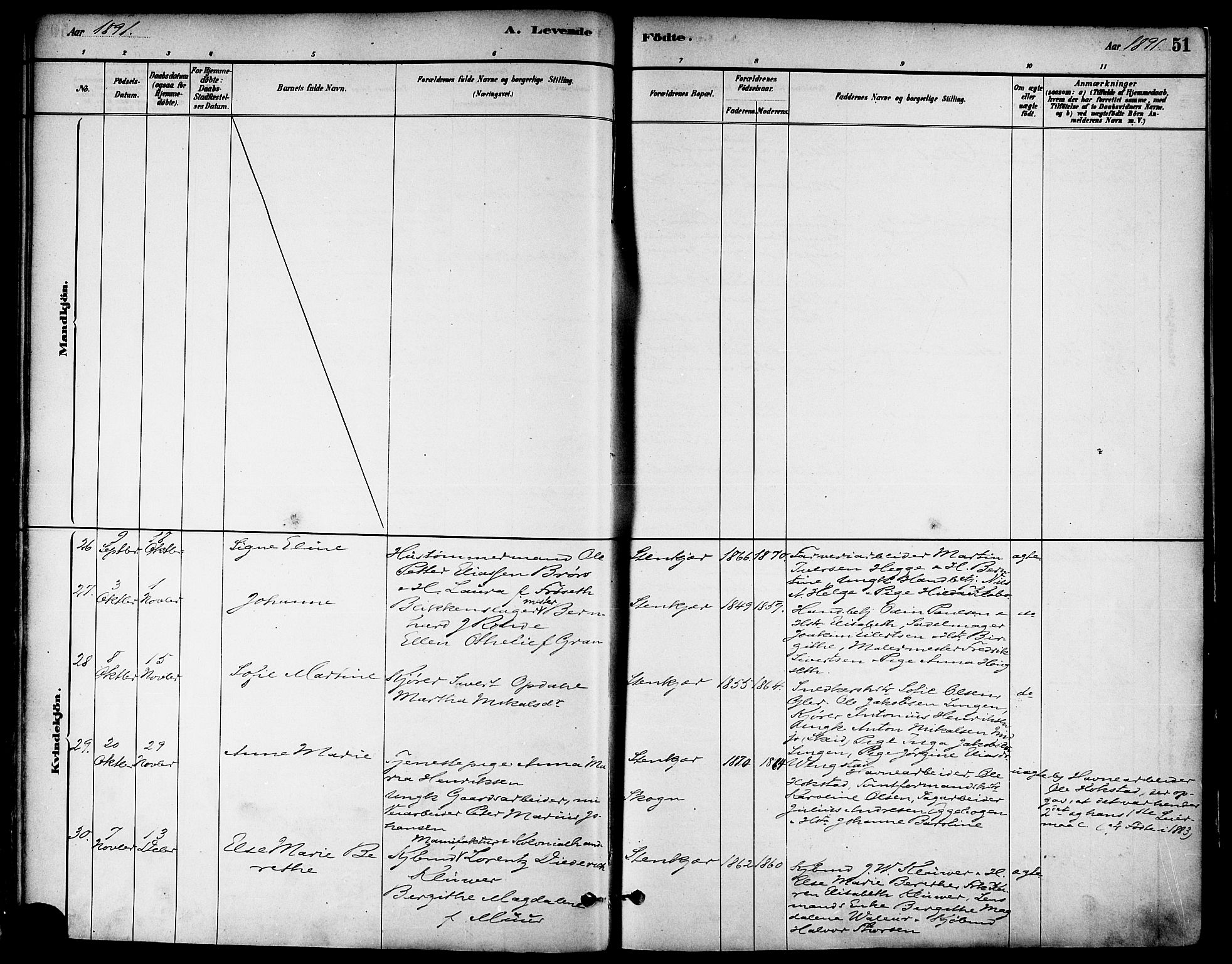 Ministerialprotokoller, klokkerbøker og fødselsregistre - Nord-Trøndelag, AV/SAT-A-1458/739/L0371: Parish register (official) no. 739A03, 1881-1895, p. 51