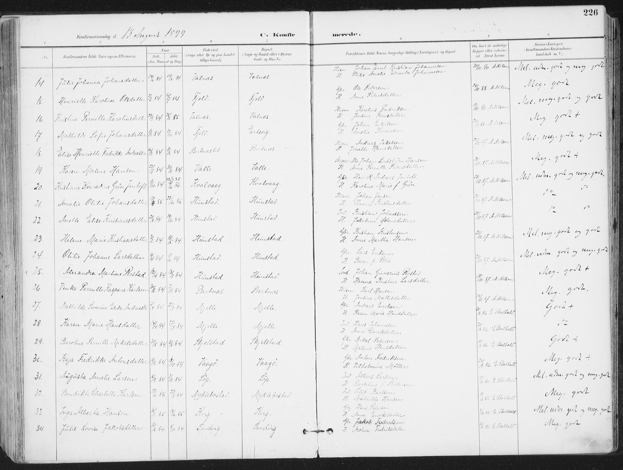 Ministerialprotokoller, klokkerbøker og fødselsregistre - Nordland, AV/SAT-A-1459/802/L0055: Parish register (official) no. 802A02, 1894-1915, p. 226