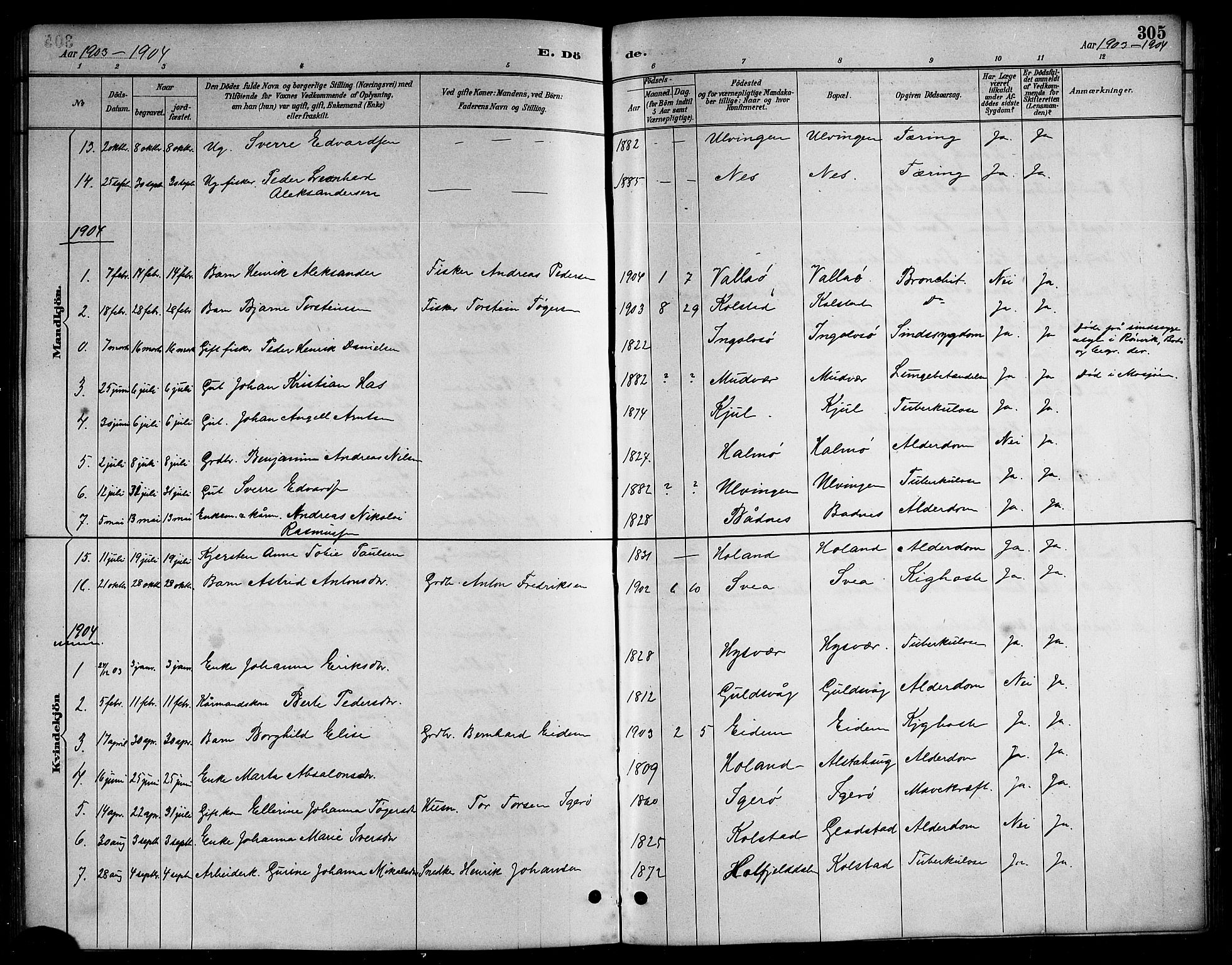 Ministerialprotokoller, klokkerbøker og fødselsregistre - Nordland, AV/SAT-A-1459/816/L0253: Parish register (copy) no. 816C03, 1886-1905, p. 305