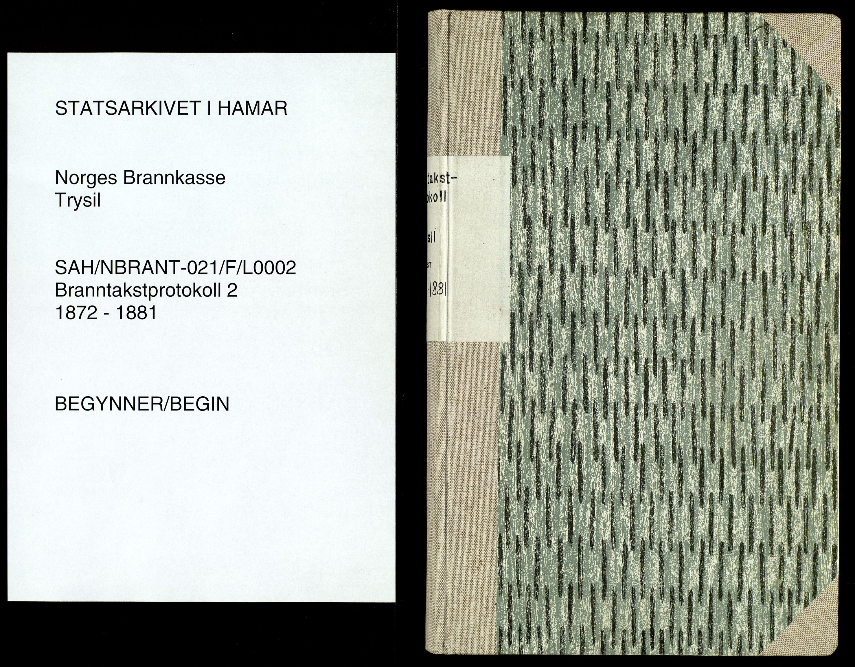 Norges Brannkasse, Trysil, AV/SAH-NBRANT-021/F/L0002: Branntakstprotokoll, 1872-1881