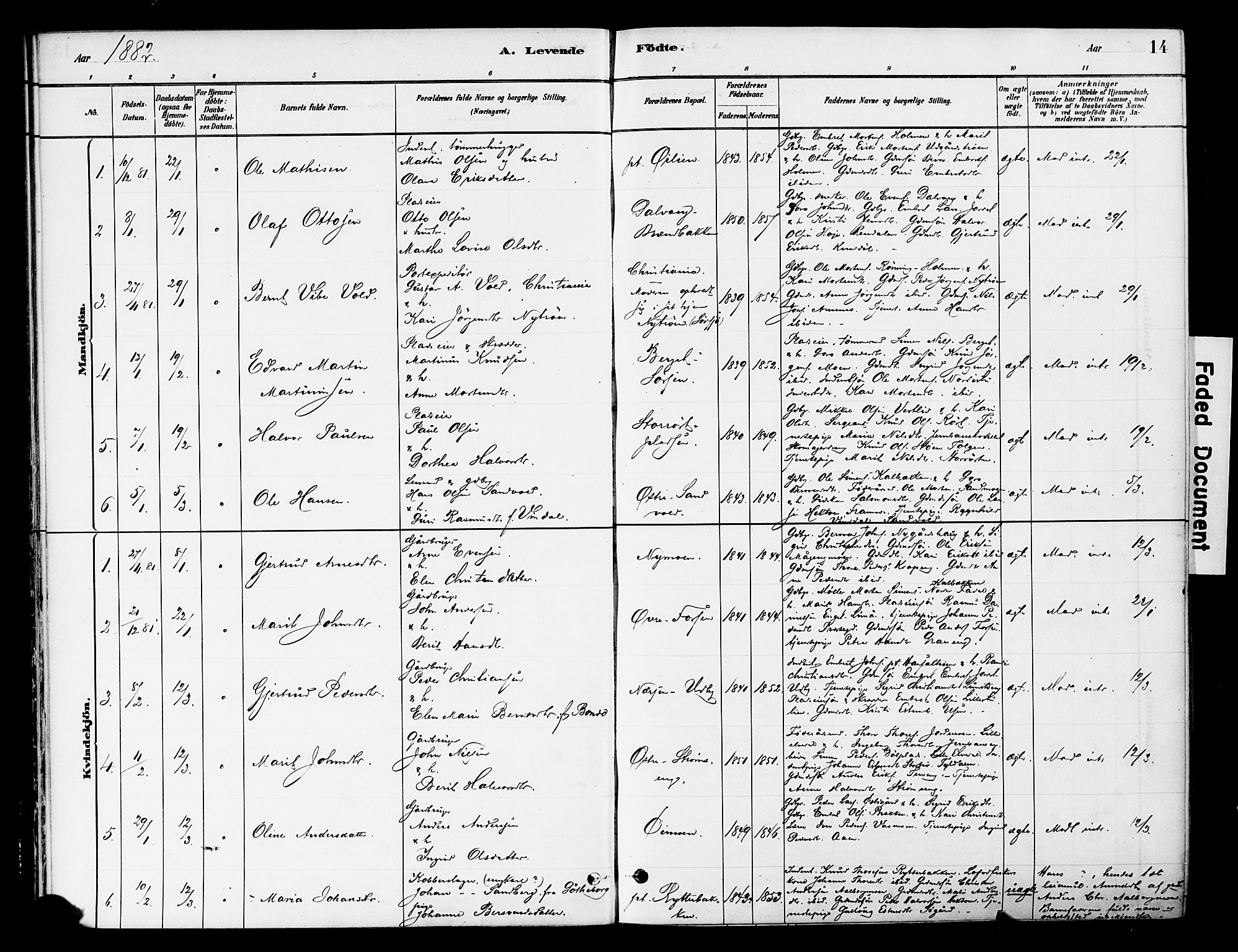 Tynset prestekontor, SAH/PREST-058/H/Ha/Haa/L0022: Parish register (official) no. 22, 1880-1899, p. 14