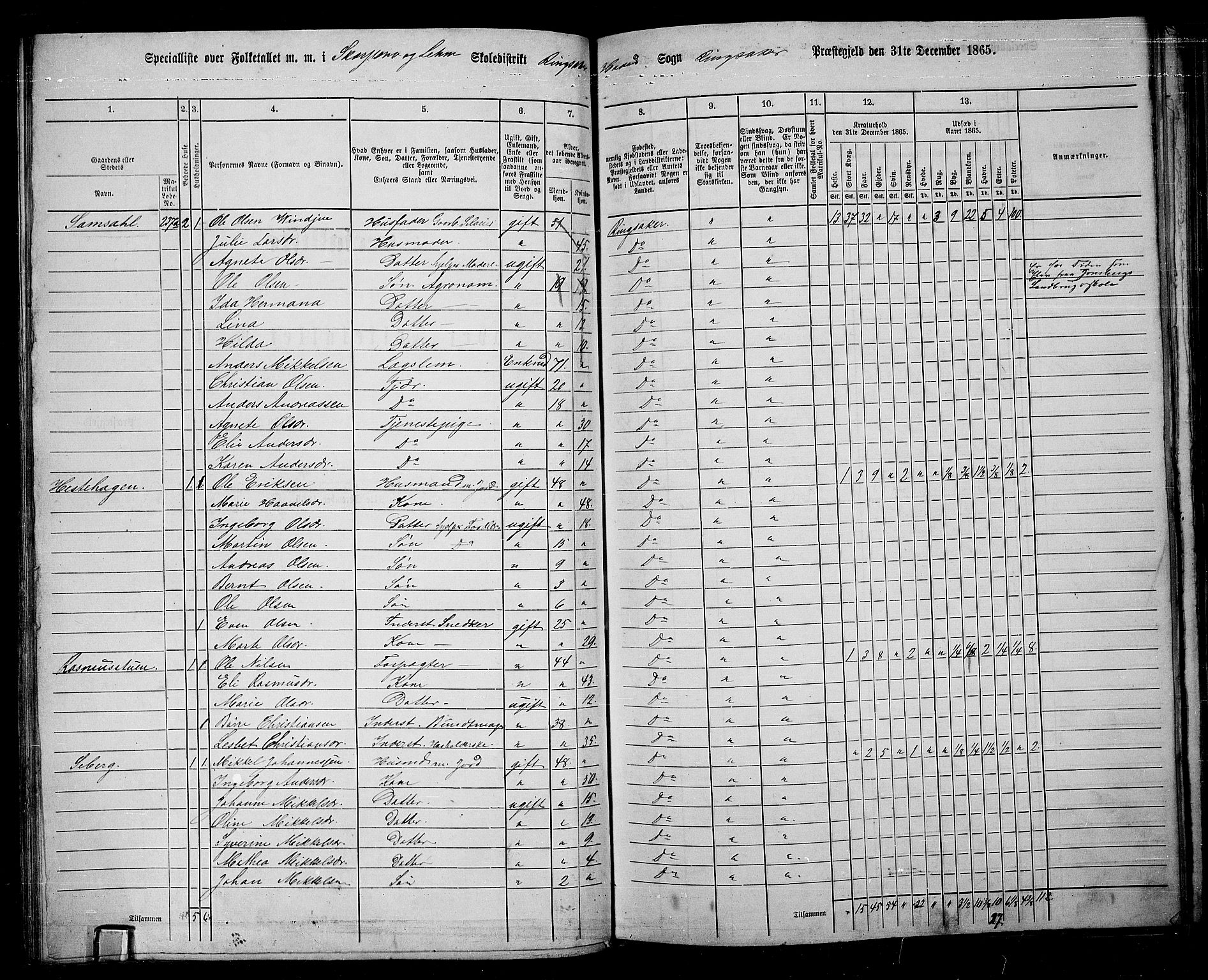 RA, 1865 census for Ringsaker, 1865, p. 127