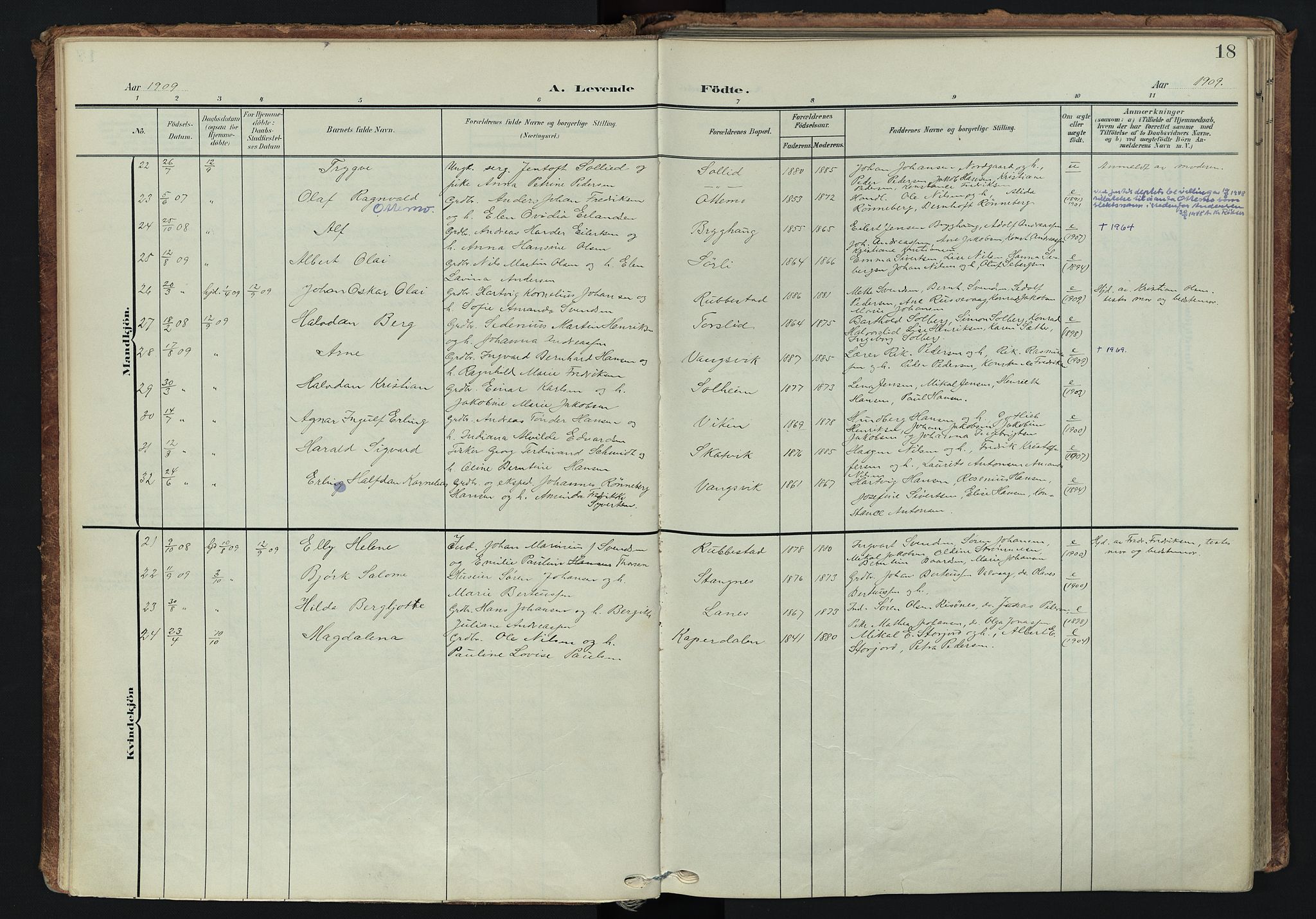 Tranøy sokneprestkontor, AV/SATØ-S-1313/I/Ia/Iaa/L0014kirke: Parish register (official) no. 14, 1905-1919, p. 18