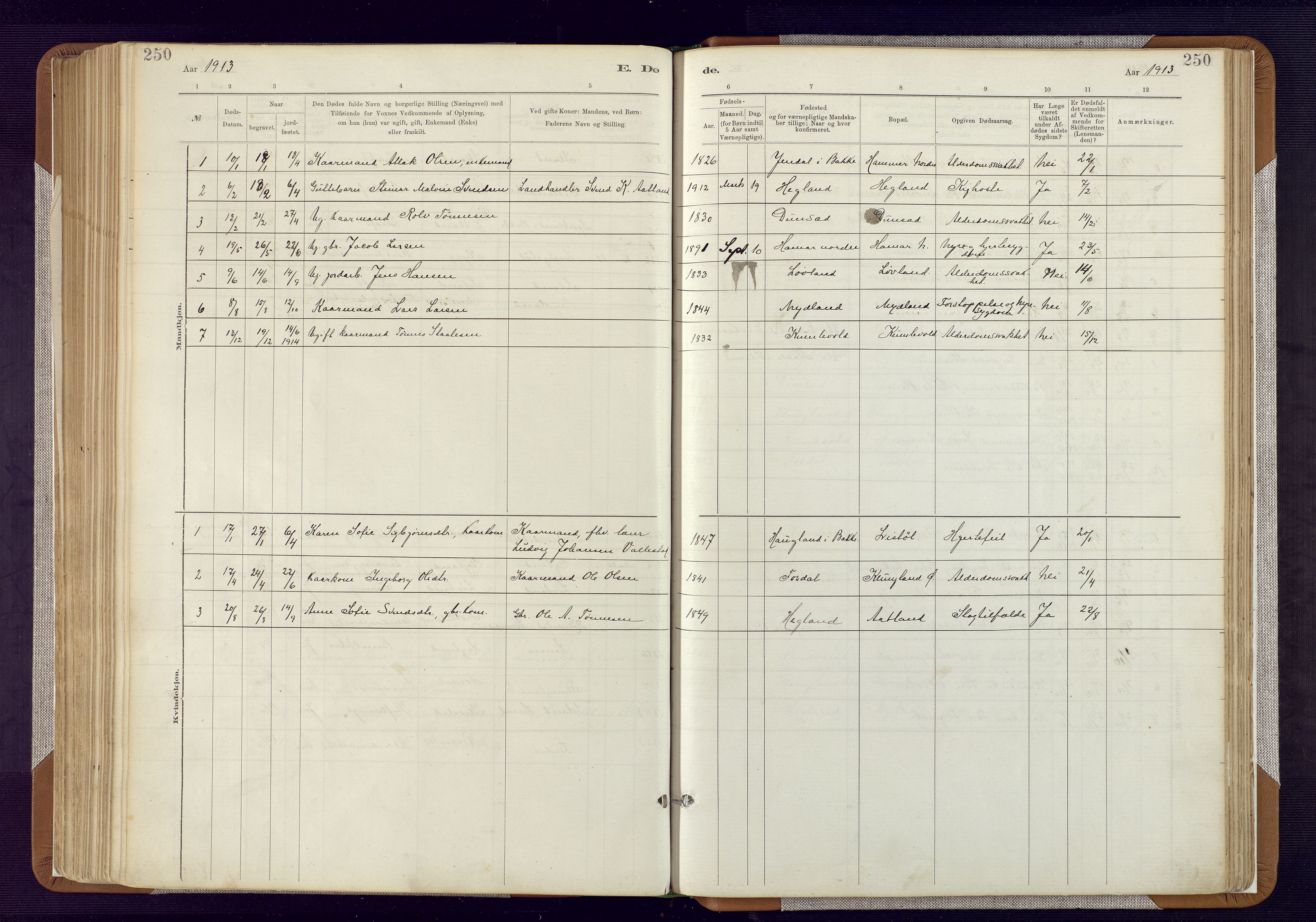 Bakke sokneprestkontor, SAK/1111-0002/F/Fa/Fab/L0003: Parish register (official) no. A 3, 1884-1921, p. 250