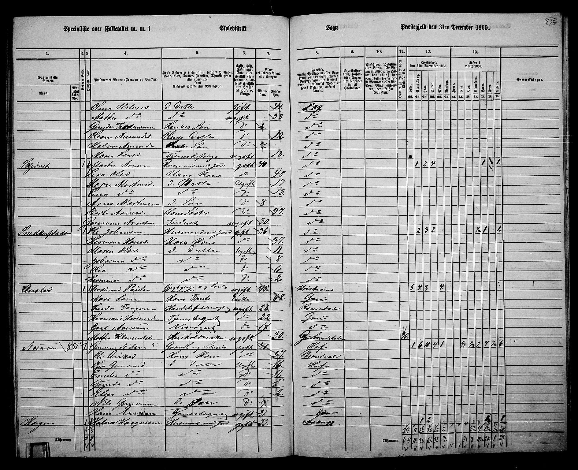 RA, 1865 census for Hof, 1865, p. 124