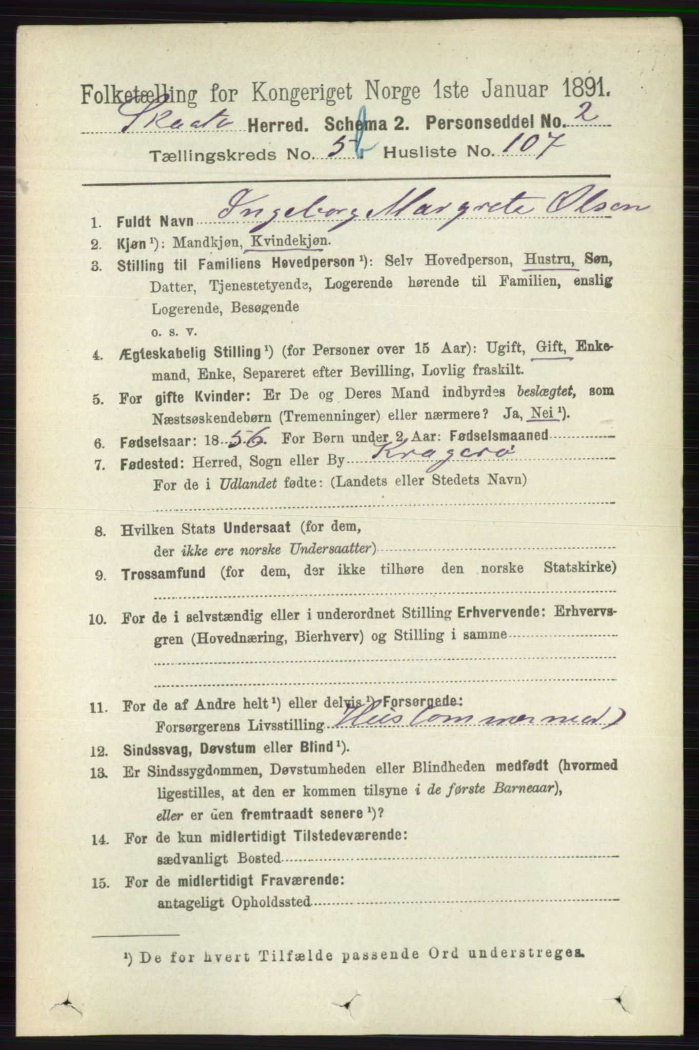 RA, 1891 census for 0815 Skåtøy, 1891, p. 2591