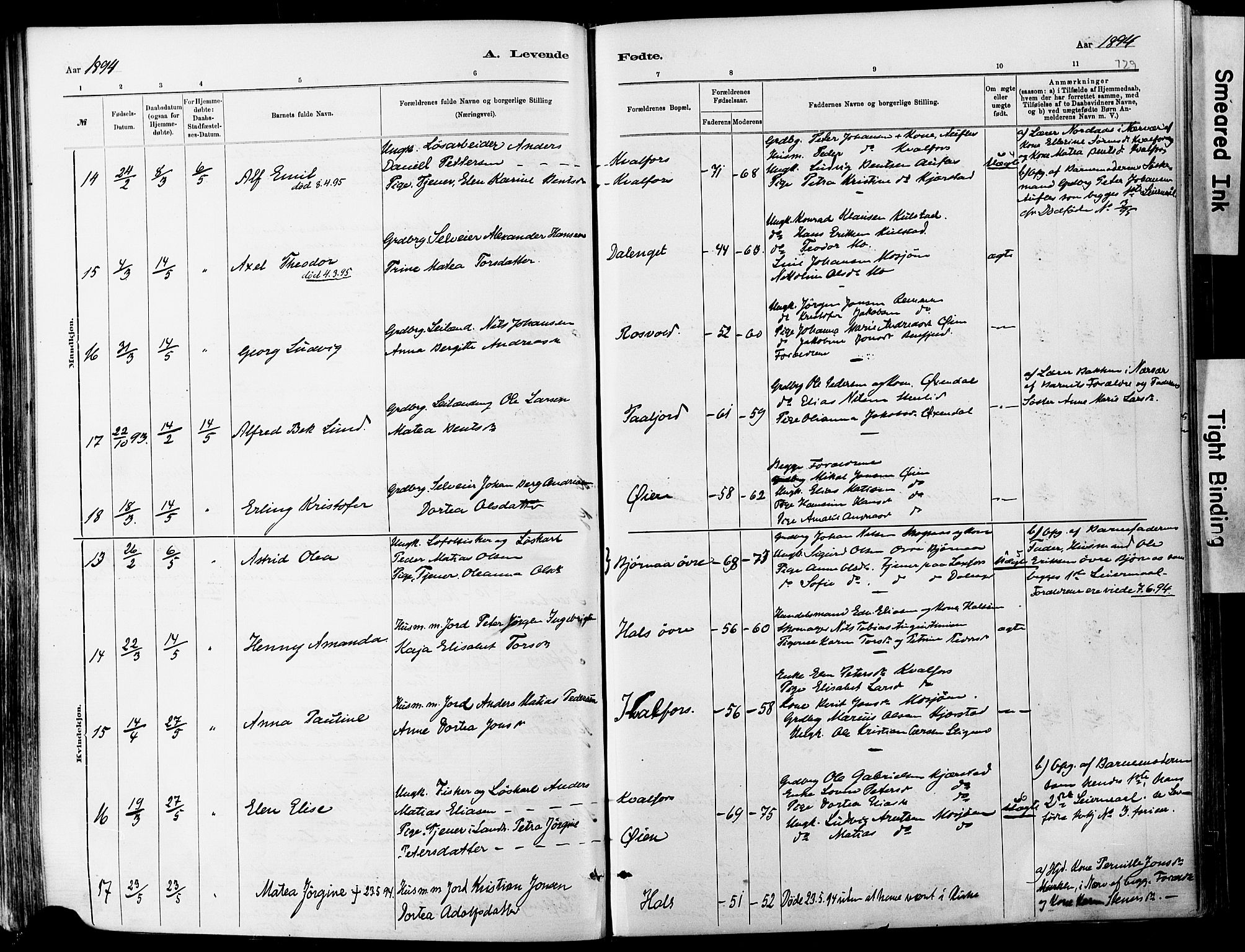 Ministerialprotokoller, klokkerbøker og fødselsregistre - Nordland, AV/SAT-A-1459/820/L0295: Parish register (official) no. 820A16, 1880-1896, p. 129