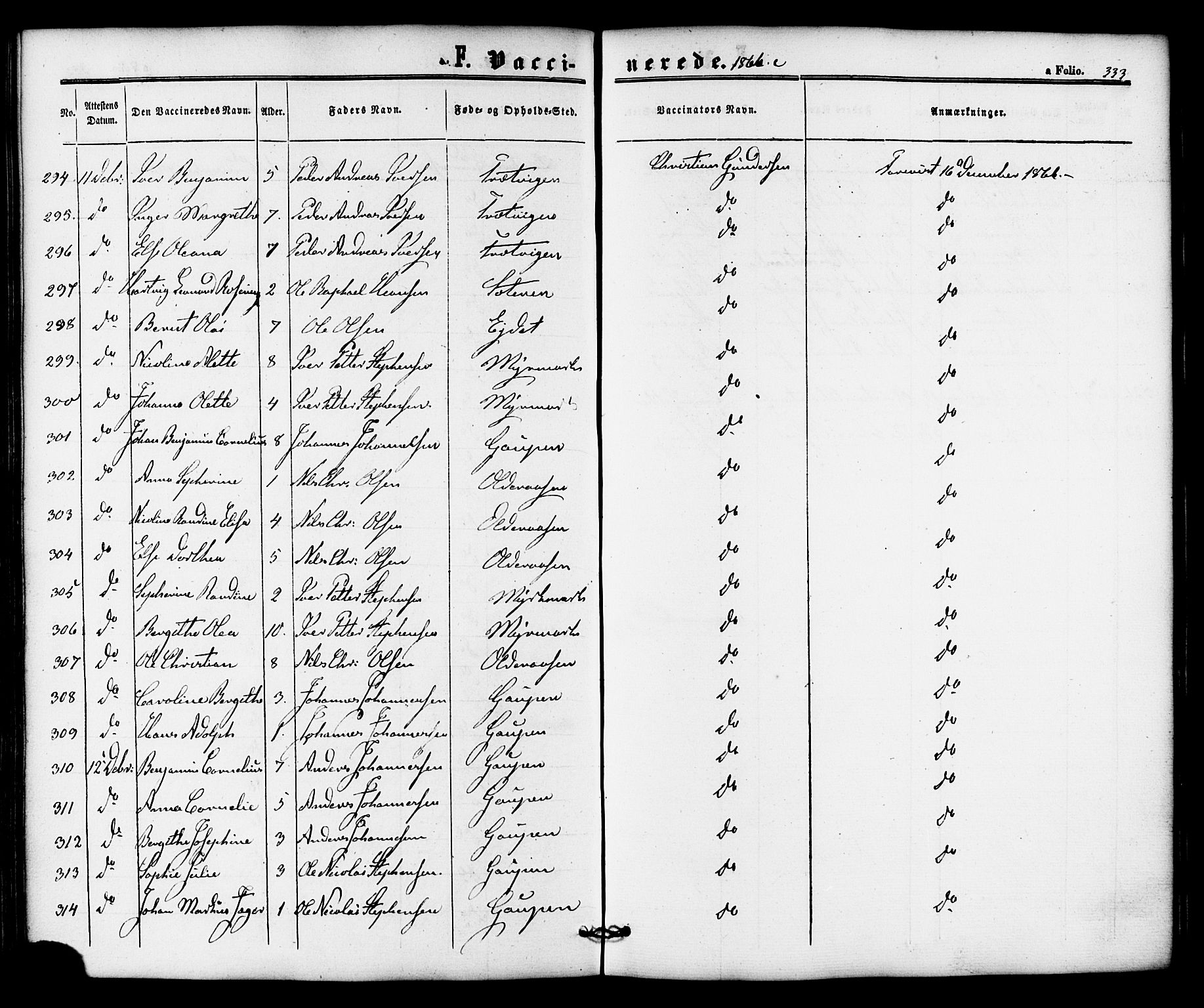 Ministerialprotokoller, klokkerbøker og fødselsregistre - Nordland, AV/SAT-A-1459/810/L0146: Parish register (official) no. 810A08 /1, 1862-1874, p. 333