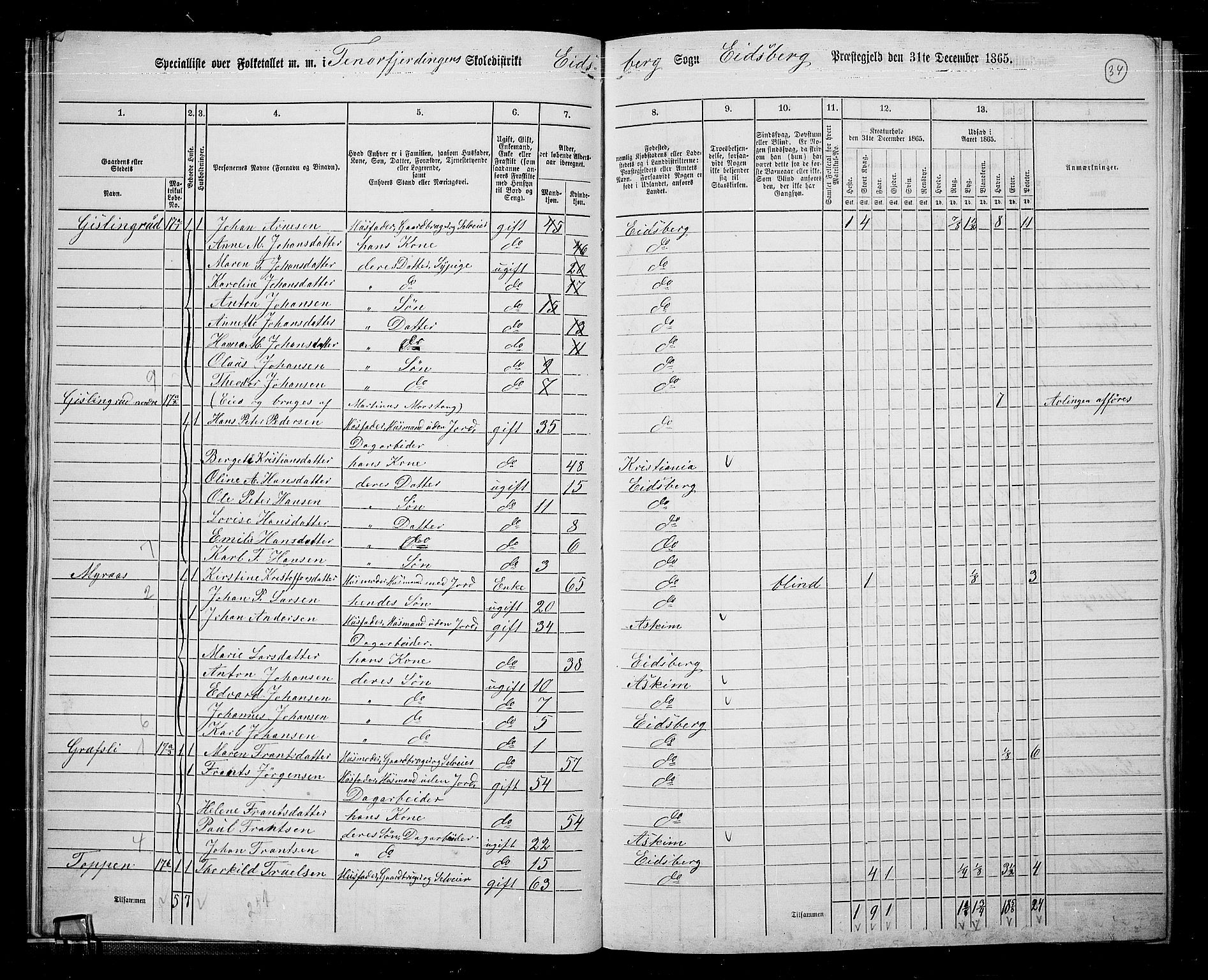 RA, 1865 census for Eidsberg, 1865, p. 29