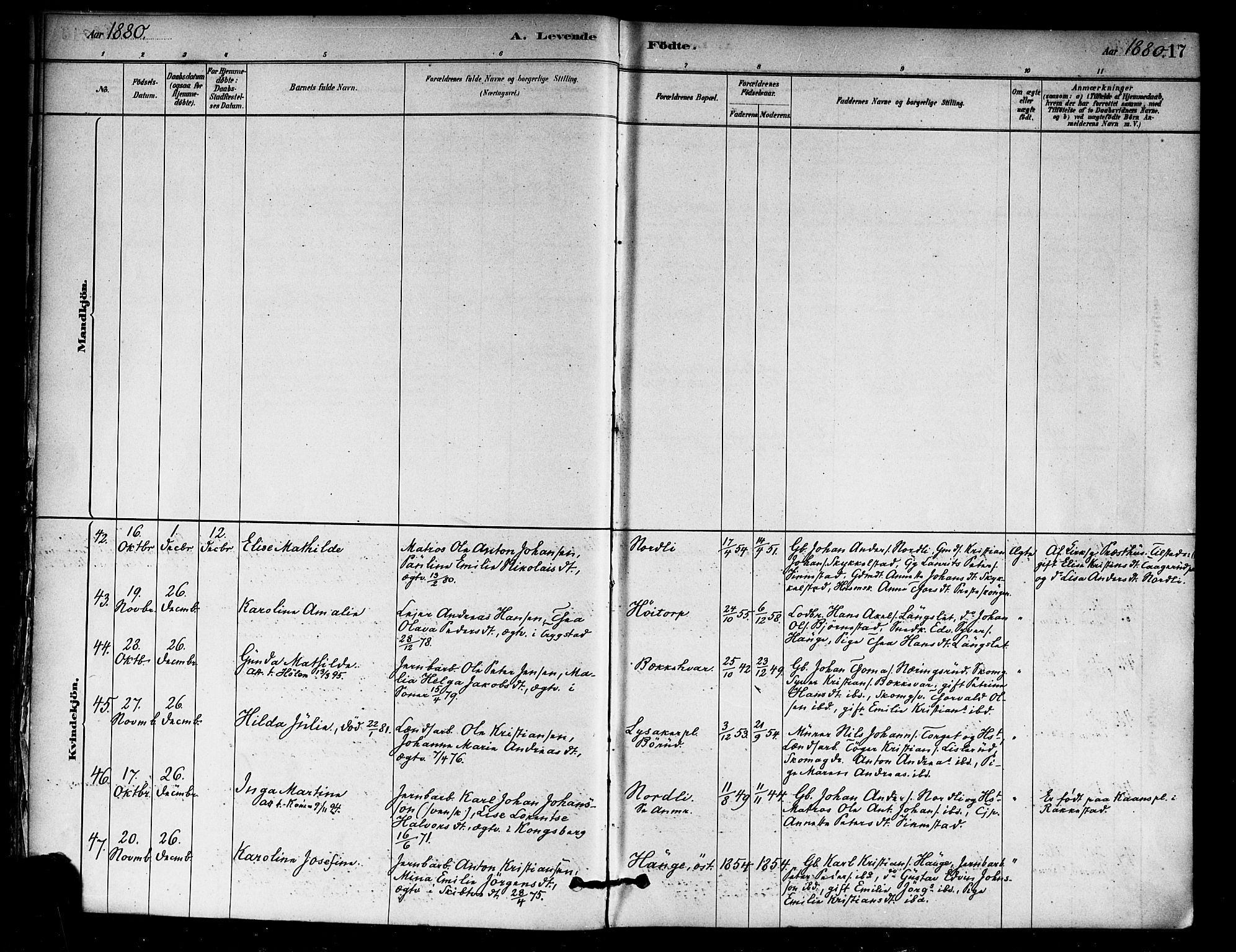 Eidsberg prestekontor Kirkebøker, AV/SAO-A-10905/F/Fa/L0012: Parish register (official) no. I 12, 1879-1901, p. 17