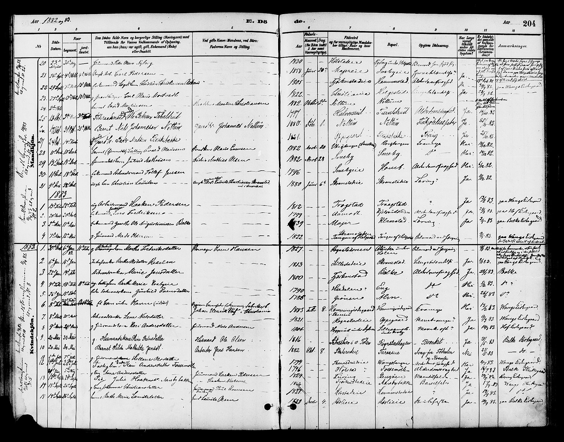 Østre Toten prestekontor, SAH/PREST-104/H/Ha/Haa/L0007: Parish register (official) no. 7, 1881-1896, p. 204