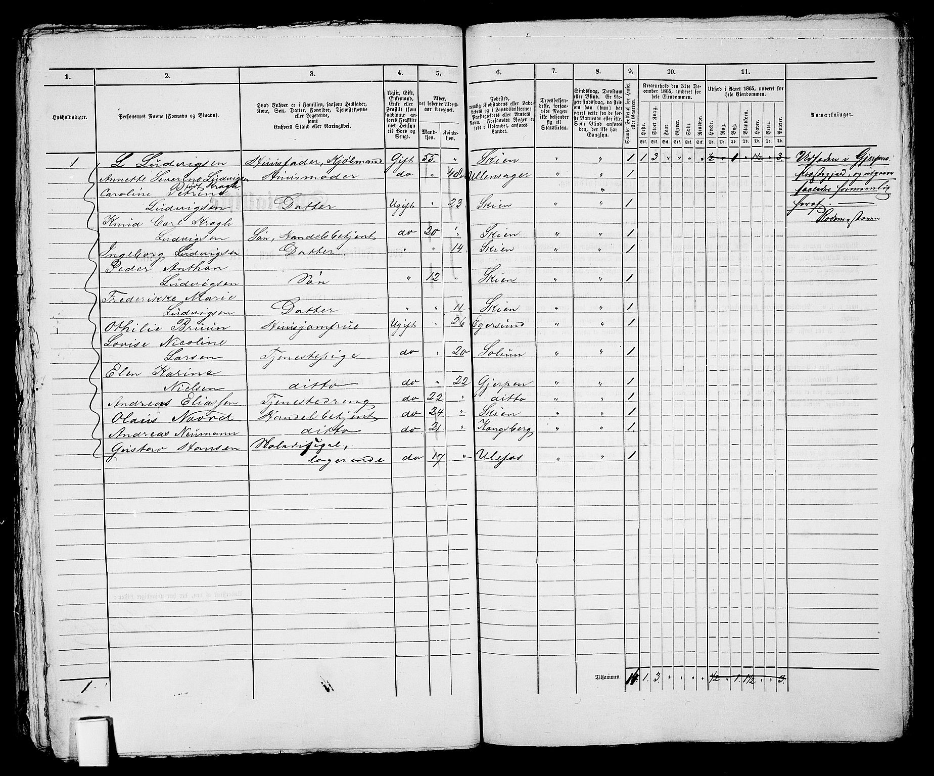 RA, 1865 census for Skien, 1865, p. 377