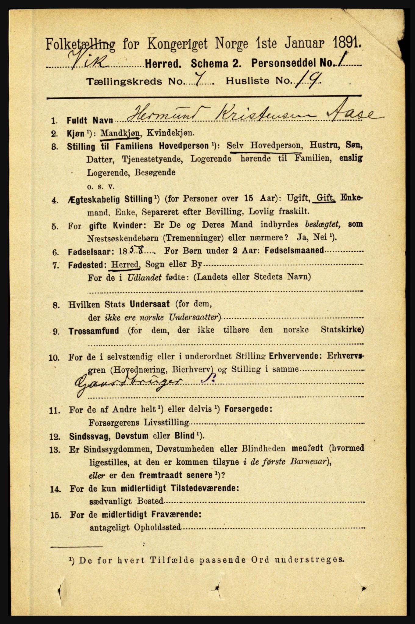 RA, 1891 census for 1417 Vik, 1891, p. 3318