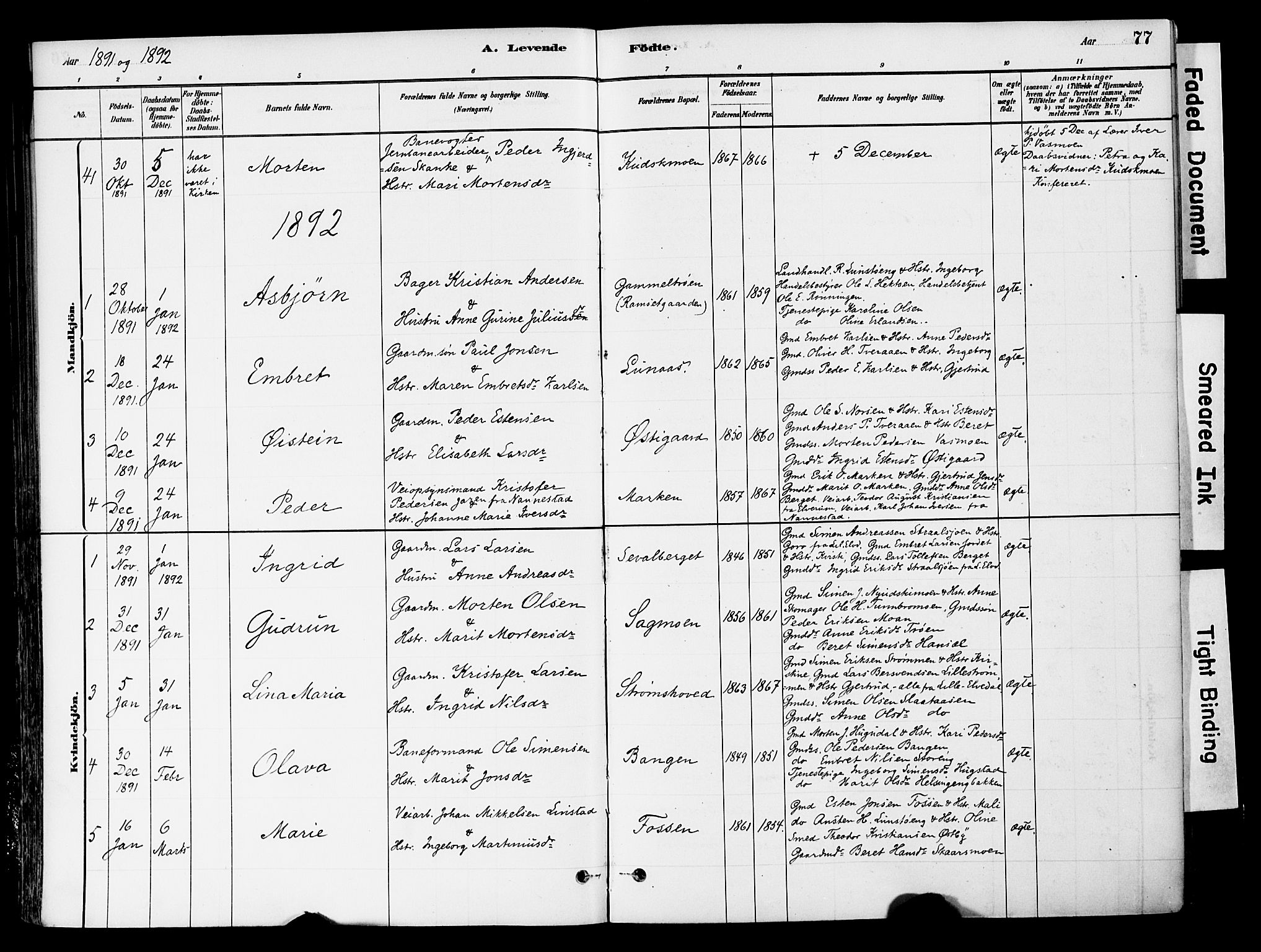 Tynset prestekontor, SAH/PREST-058/H/Ha/Haa/L0022: Parish register (official) no. 22, 1880-1899, p. 77