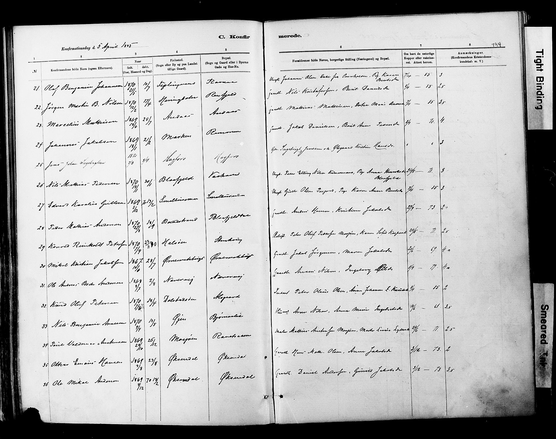 Ministerialprotokoller, klokkerbøker og fødselsregistre - Nordland, SAT/A-1459/820/L0295: Parish register (official) no. 820A16, 1880-1896, p. 194