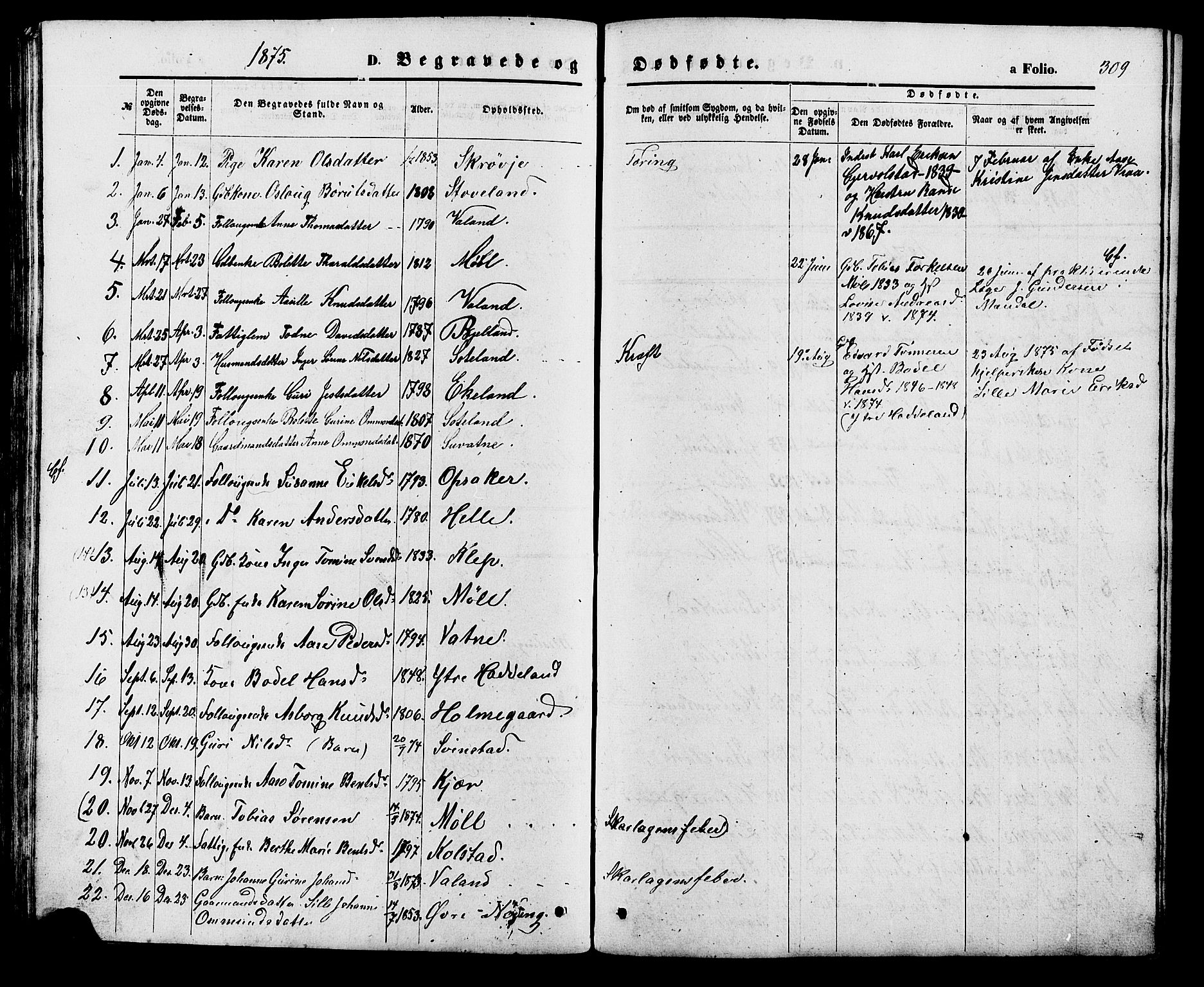 Holum sokneprestkontor, SAK/1111-0022/F/Fb/Fba/L0004: Parish register (copy) no. B 4, 1867-1890, p. 309