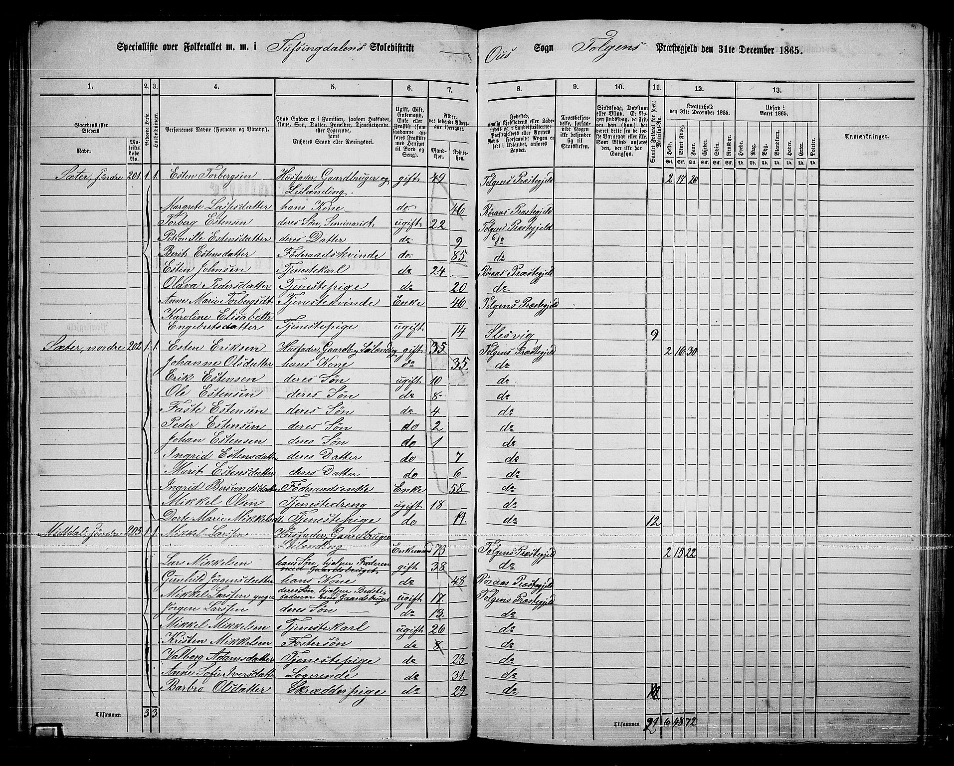 RA, 1865 census for Tolga, 1865, p. 89