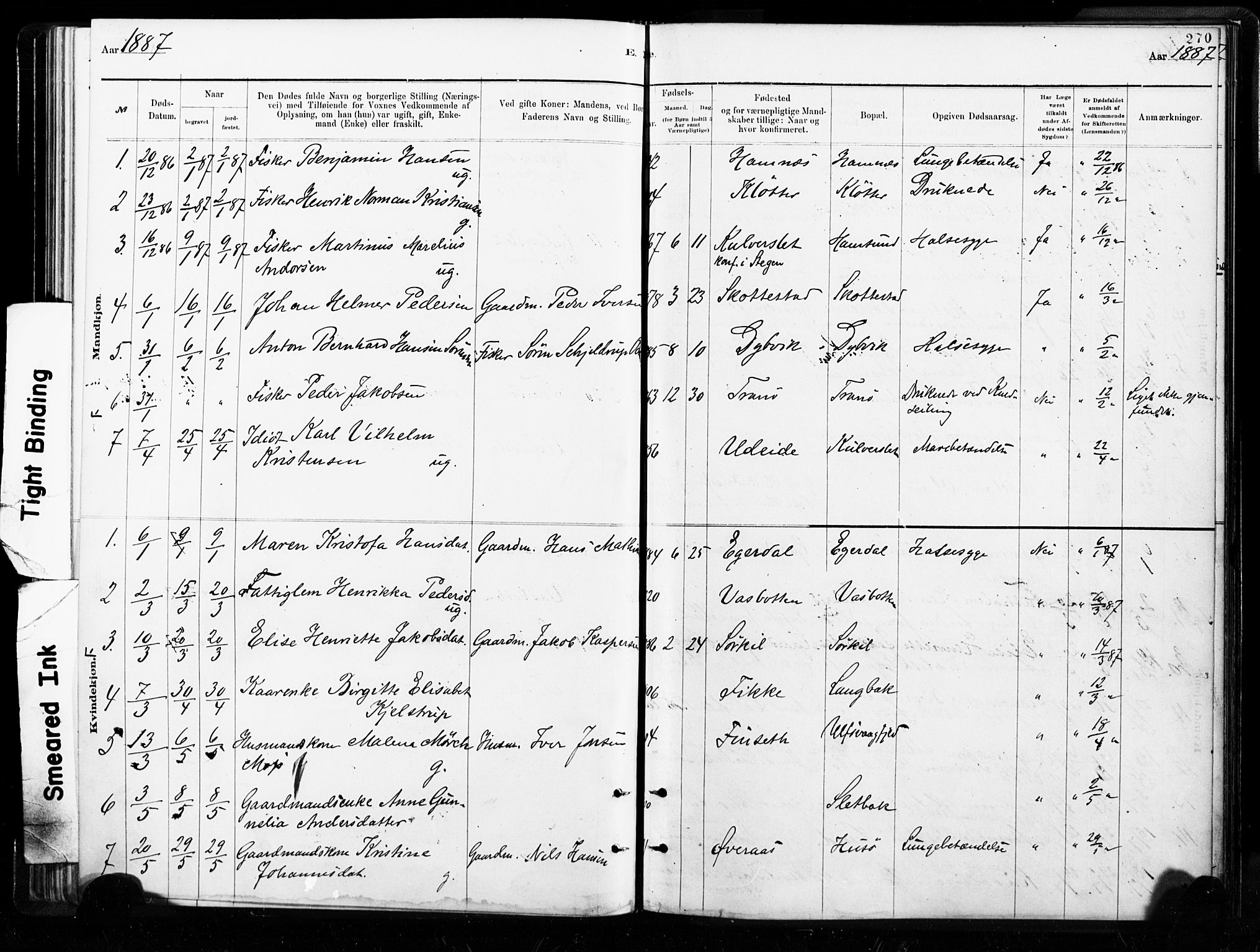 Ministerialprotokoller, klokkerbøker og fødselsregistre - Nordland, AV/SAT-A-1459/859/L0846: Parish register (official) no. 859A06, 1878-1889, p. 270