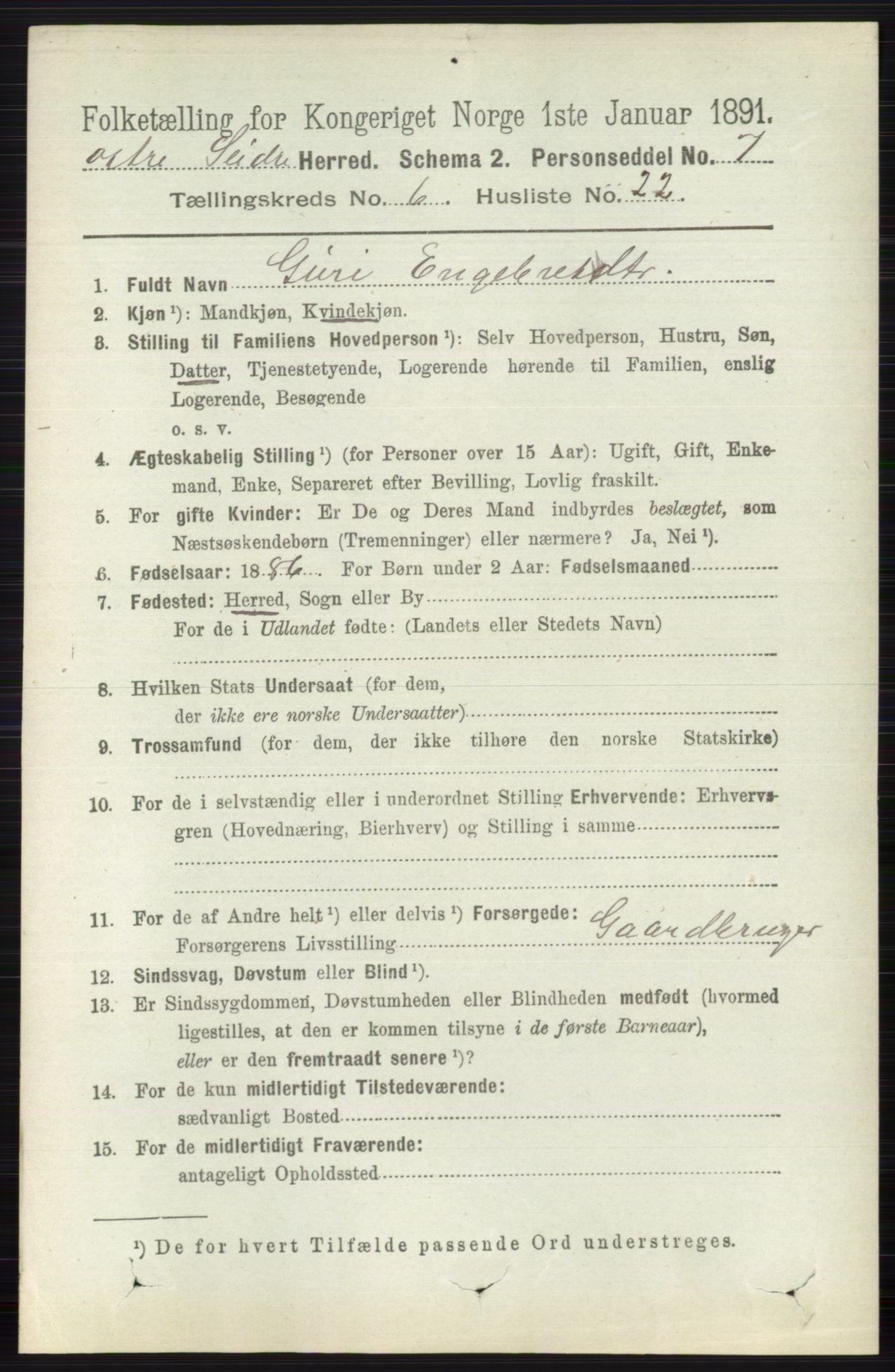 RA, 1891 census for 0544 Øystre Slidre, 1891, p. 1919