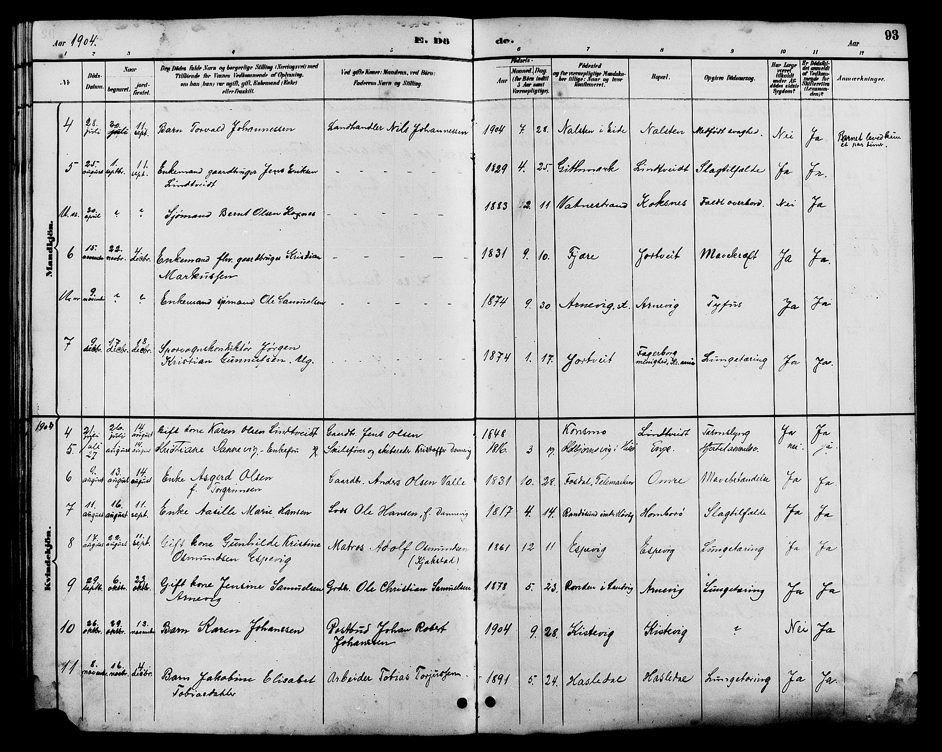 Hommedal sokneprestkontor, AV/SAK-1111-0023/F/Fb/Fba/L0004: Parish register (copy) no. B 4, 1885-1908, p. 93