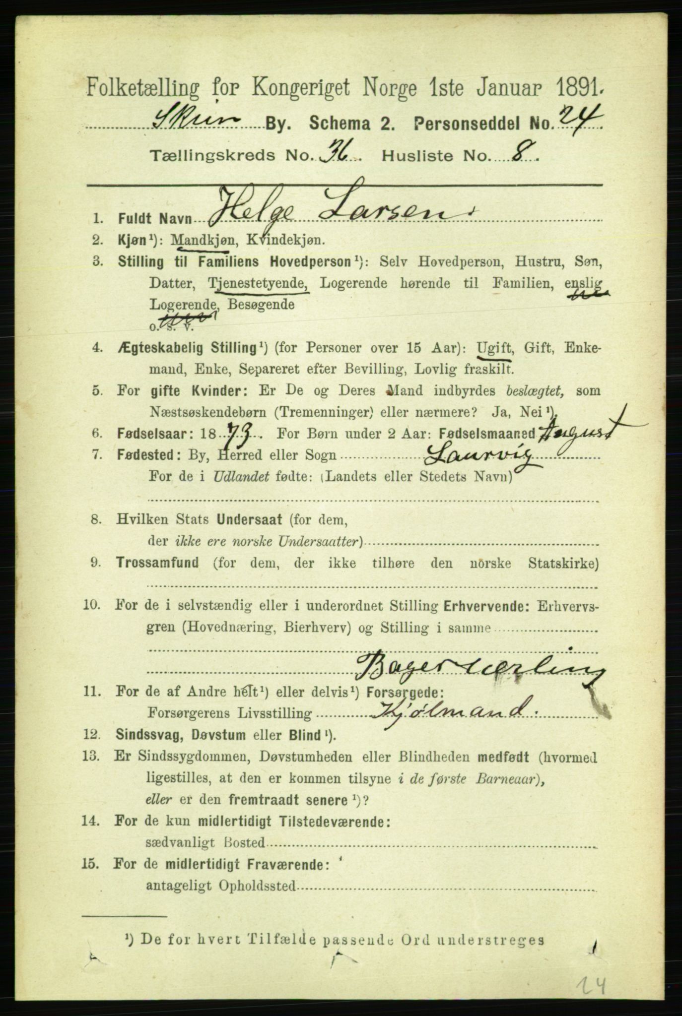 RA, 1891 census for 0806 Skien, 1891, p. 8062