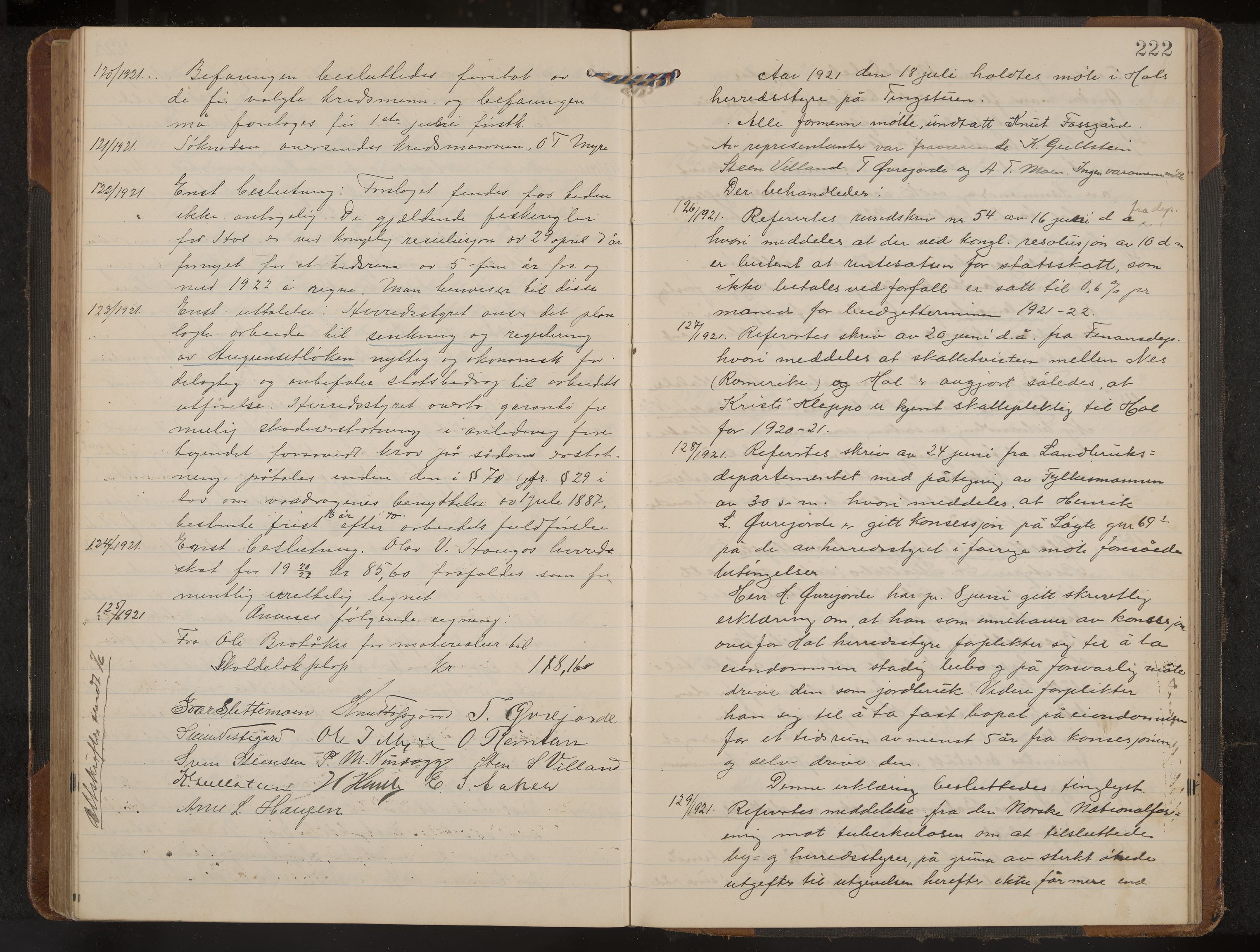 Hol formannskap og sentraladministrasjon, IKAK/0620021-1/A/L0006: Møtebok, 1916-1922, p. 222