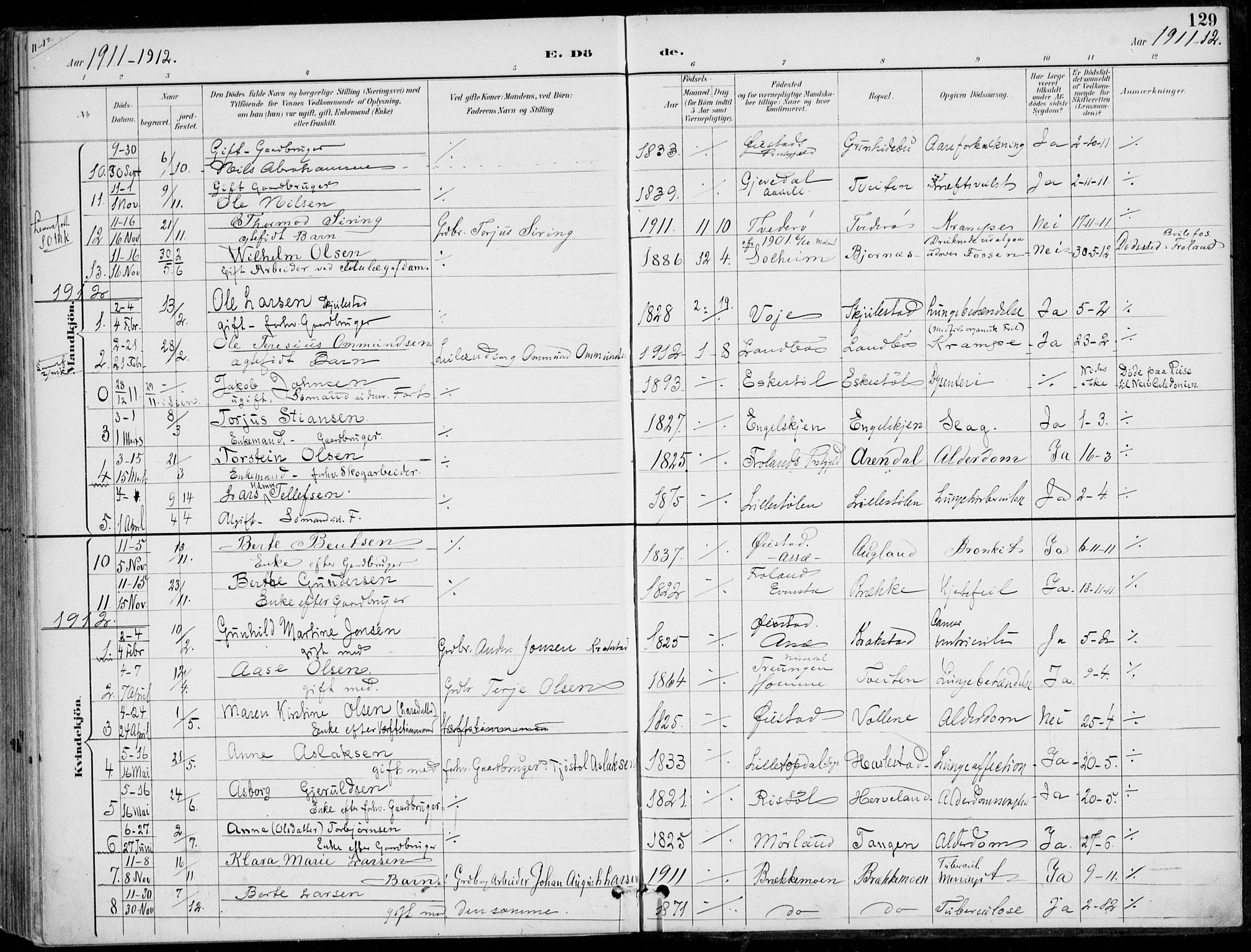 Austre Moland sokneprestkontor, AV/SAK-1111-0001/F/Fa/Faa/L0011: Parish register (official) no. A 11, 1894-1915, p. 129