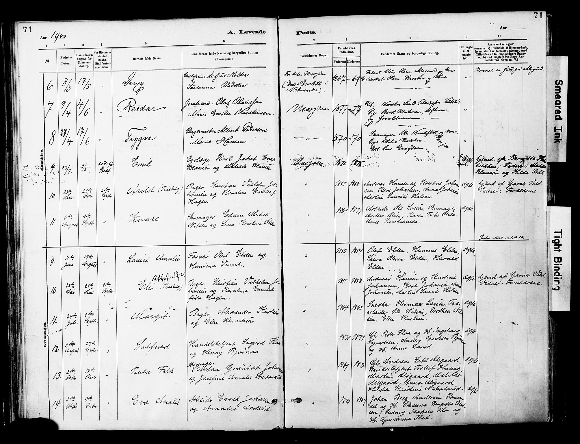 Ministerialprotokoller, klokkerbøker og fødselsregistre - Nordland, SAT/A-1459/820/L0296: Parish register (official) no. 820A17, 1880-1903, p. 71