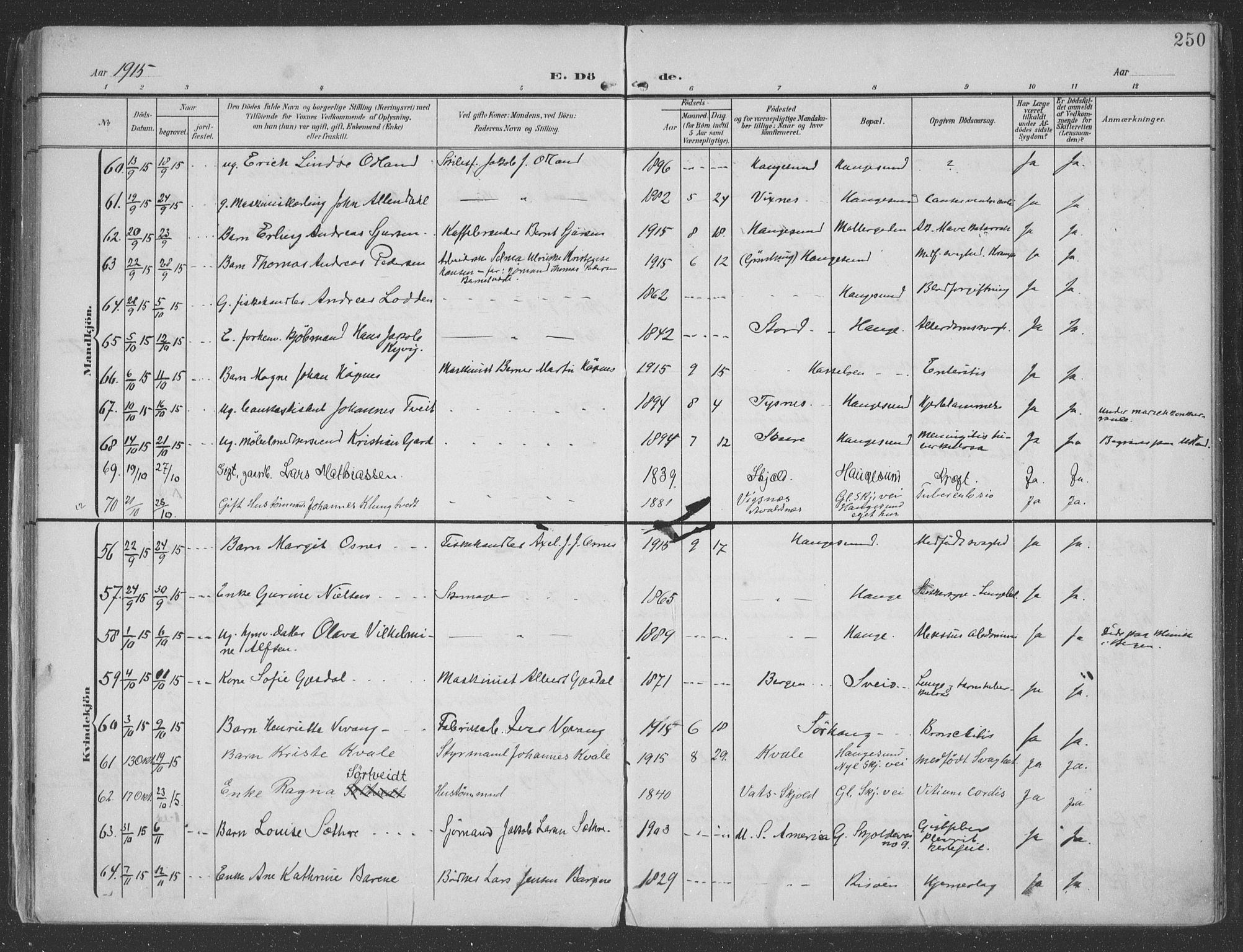 Haugesund sokneprestkontor, AV/SAST-A -101863/H/Ha/Haa/L0007: Parish register (official) no. A 7, 1904-1916, p. 250