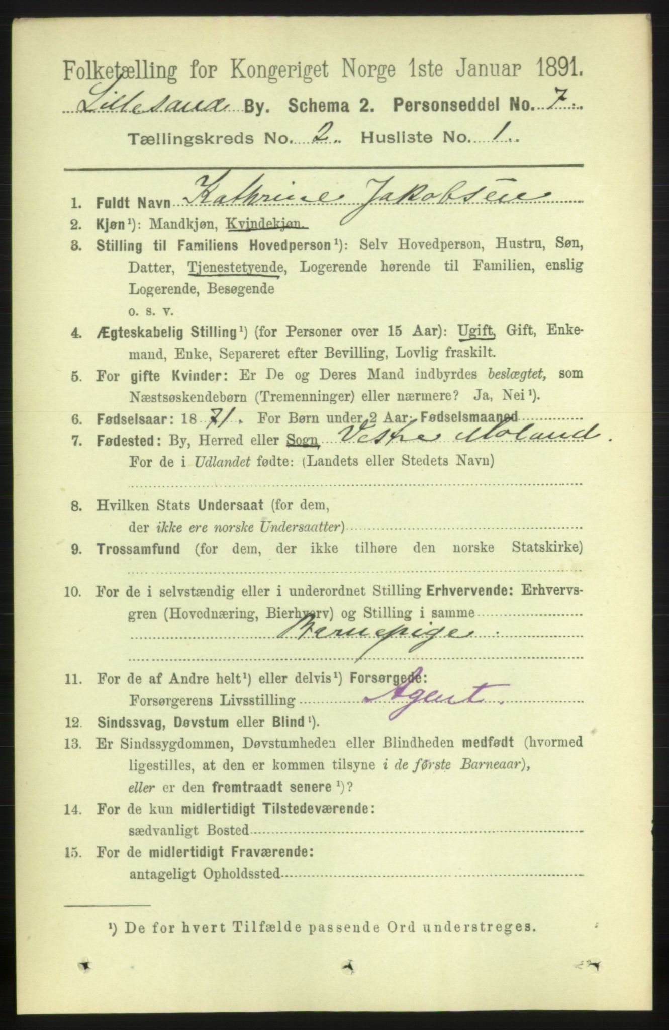 RA, 1891 census for 0905 Lillesand, 1891, p. 275