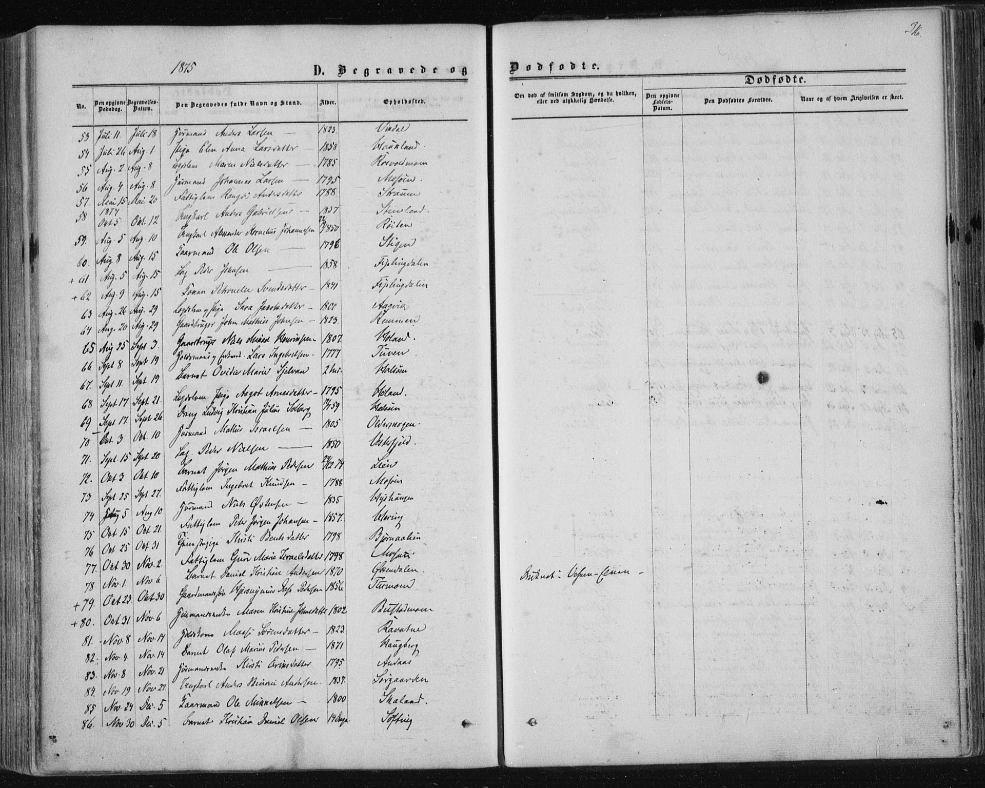 Ministerialprotokoller, klokkerbøker og fødselsregistre - Nordland, SAT/A-1459/820/L0294: Parish register (official) no. 820A15, 1866-1879, p. 316