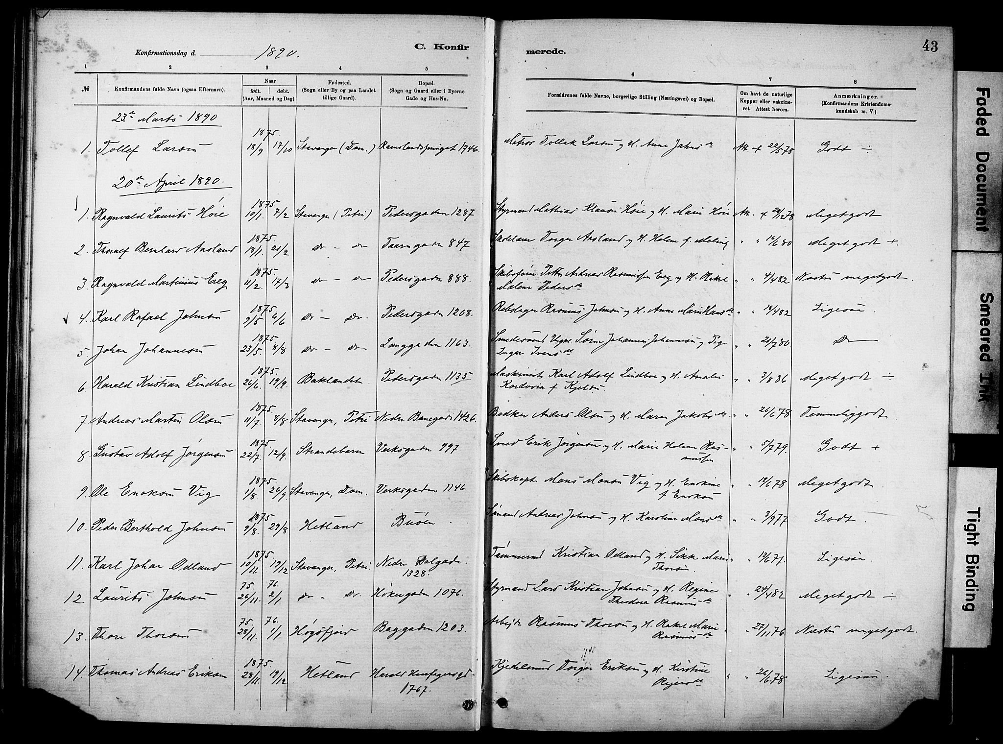 St. Johannes sokneprestkontor, SAST/A-101814/001/30/30BA/L0002: Parish register (official) no. A 2, 1885-1899, p. 43