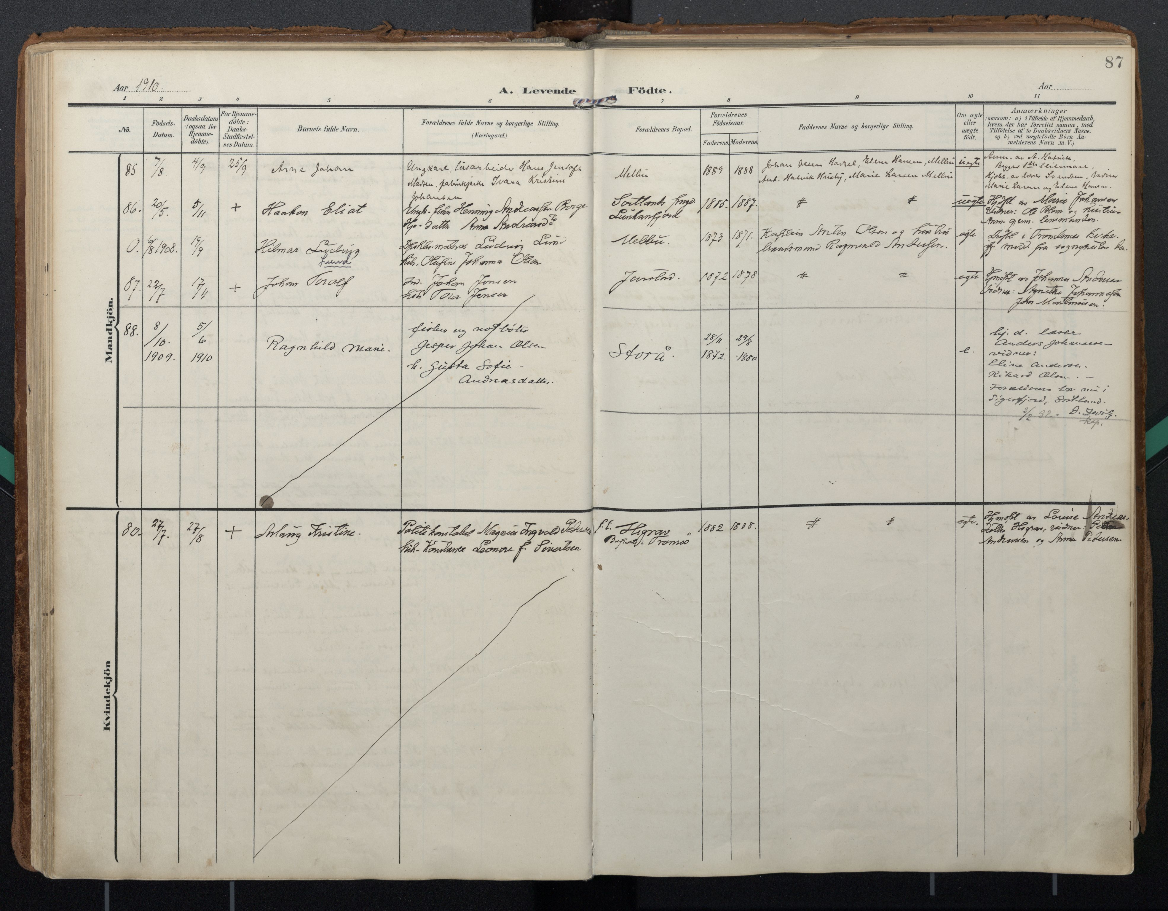 Ministerialprotokoller, klokkerbøker og fødselsregistre - Nordland, AV/SAT-A-1459/888/L1248: Parish register (official) no. 888A14, 1904-1913, p. 87