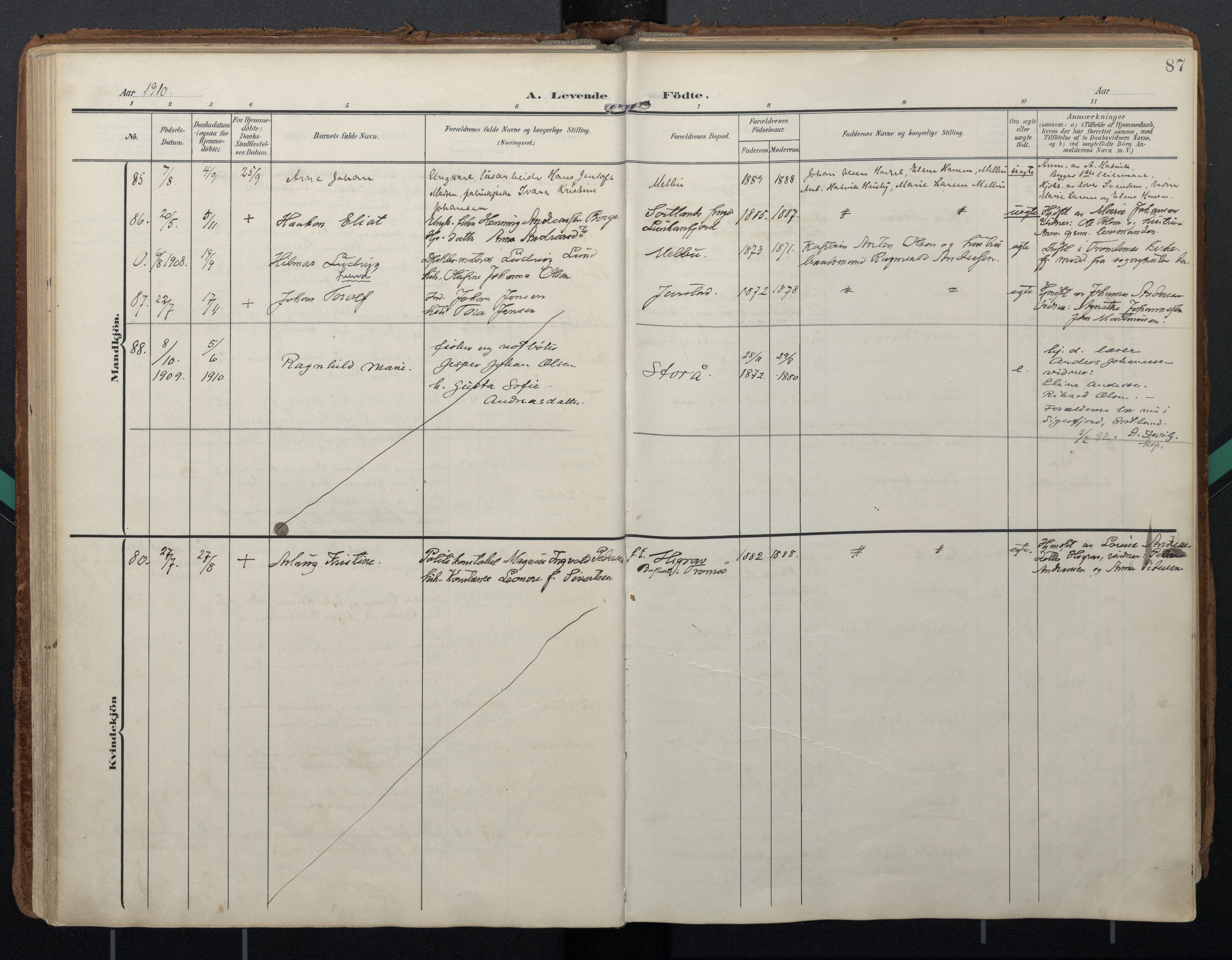 Ministerialprotokoller, klokkerbøker og fødselsregistre - Nordland, SAT/A-1459/888/L1248: Parish register (official) no. 888A14, 1904-1913, p. 87