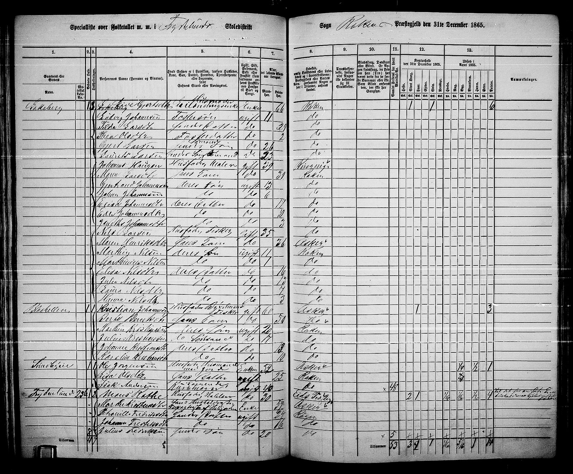 RA, 1865 census for Røyken, 1865, p. 89