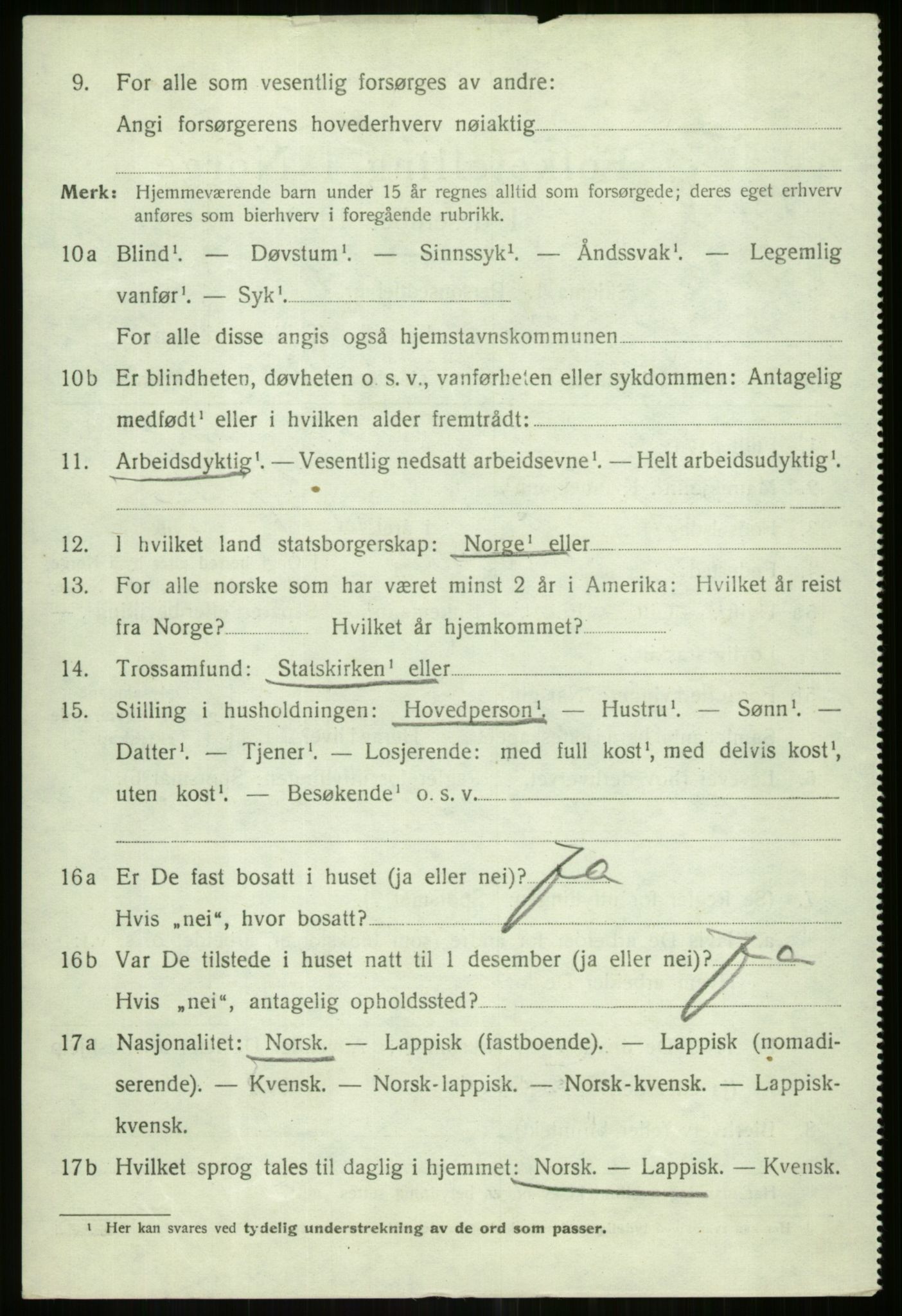 SATØ, 1920 census for Tromsøysund, 1920, p. 13843
