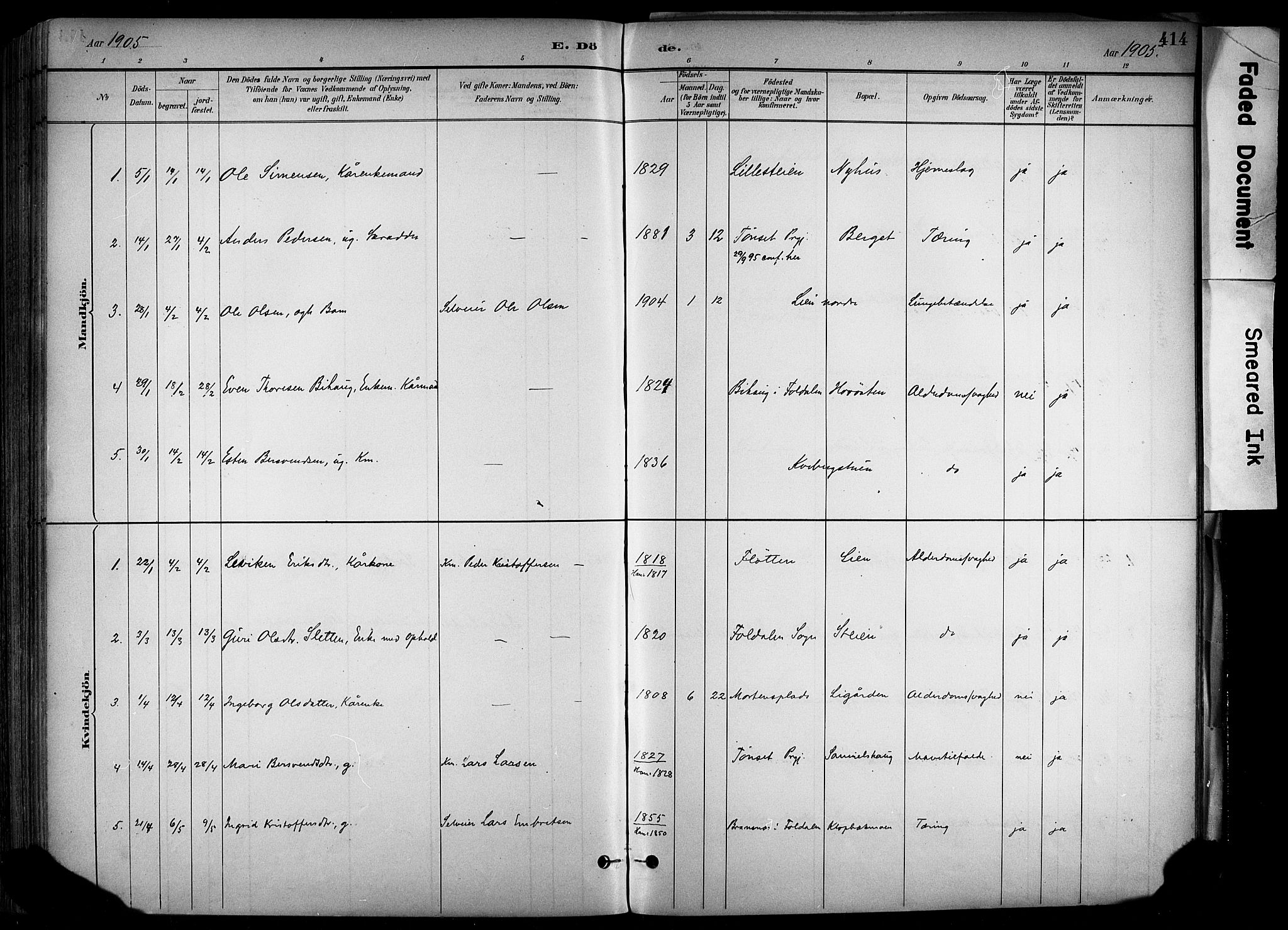 Alvdal prestekontor, SAH/PREST-060/H/Ha/Haa/L0002: Parish register (official) no. 2, 1883-1906, p. 414