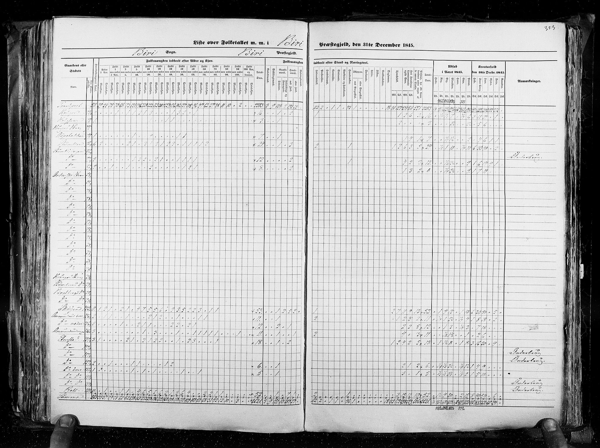 RA, Census 1845, vol. 3: Hedemarken amt og Kristians amt, 1845, p. 323