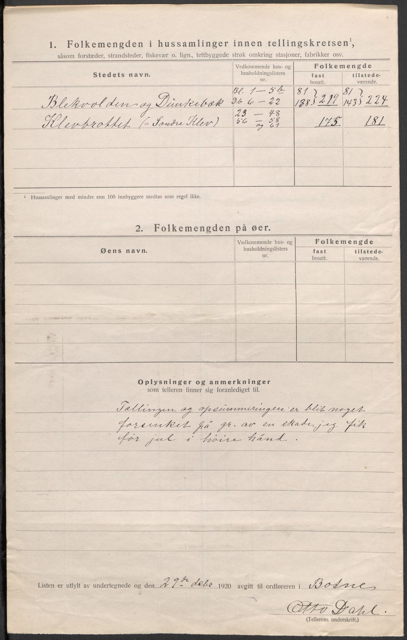 SAKO, 1920 census for Botne, 1920, p. 13