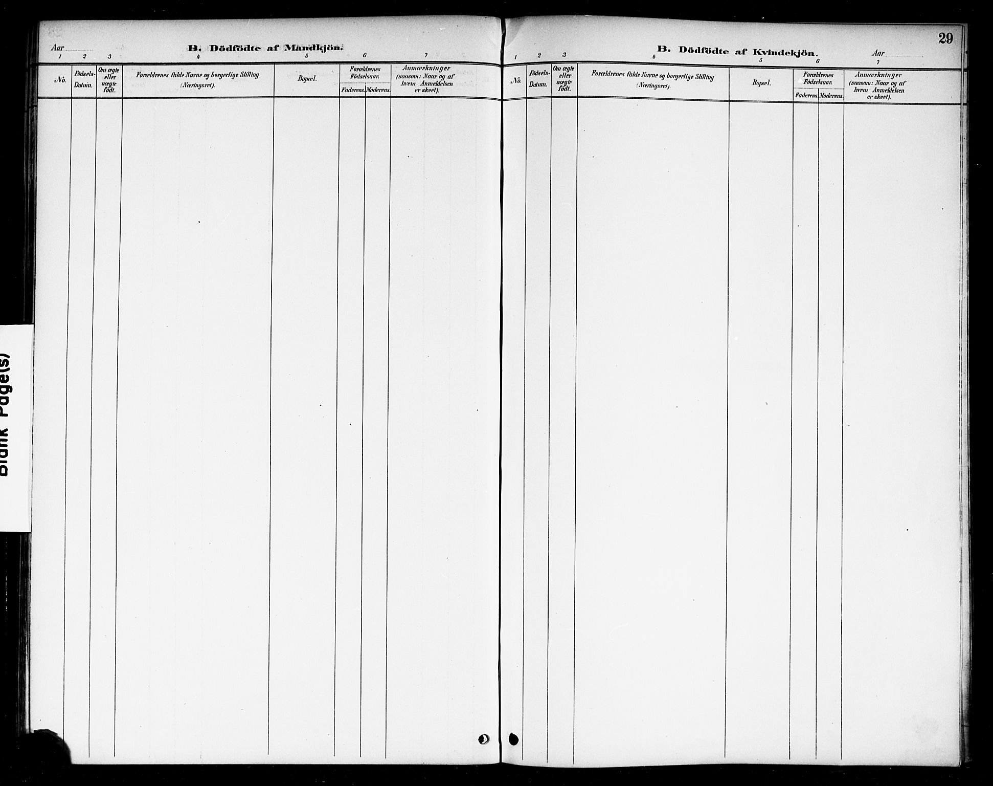 Berg prestekontor Kirkebøker, AV/SAO-A-10902/F/Fc/L0002: Parish register (official) no. III 2, 1888-1901, p. 29